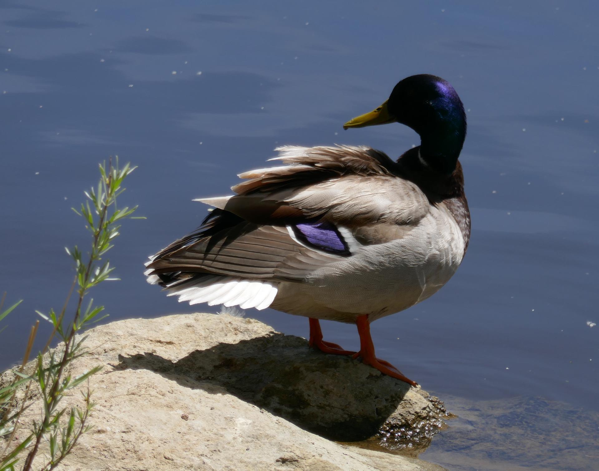 Im20220528P1060062sm