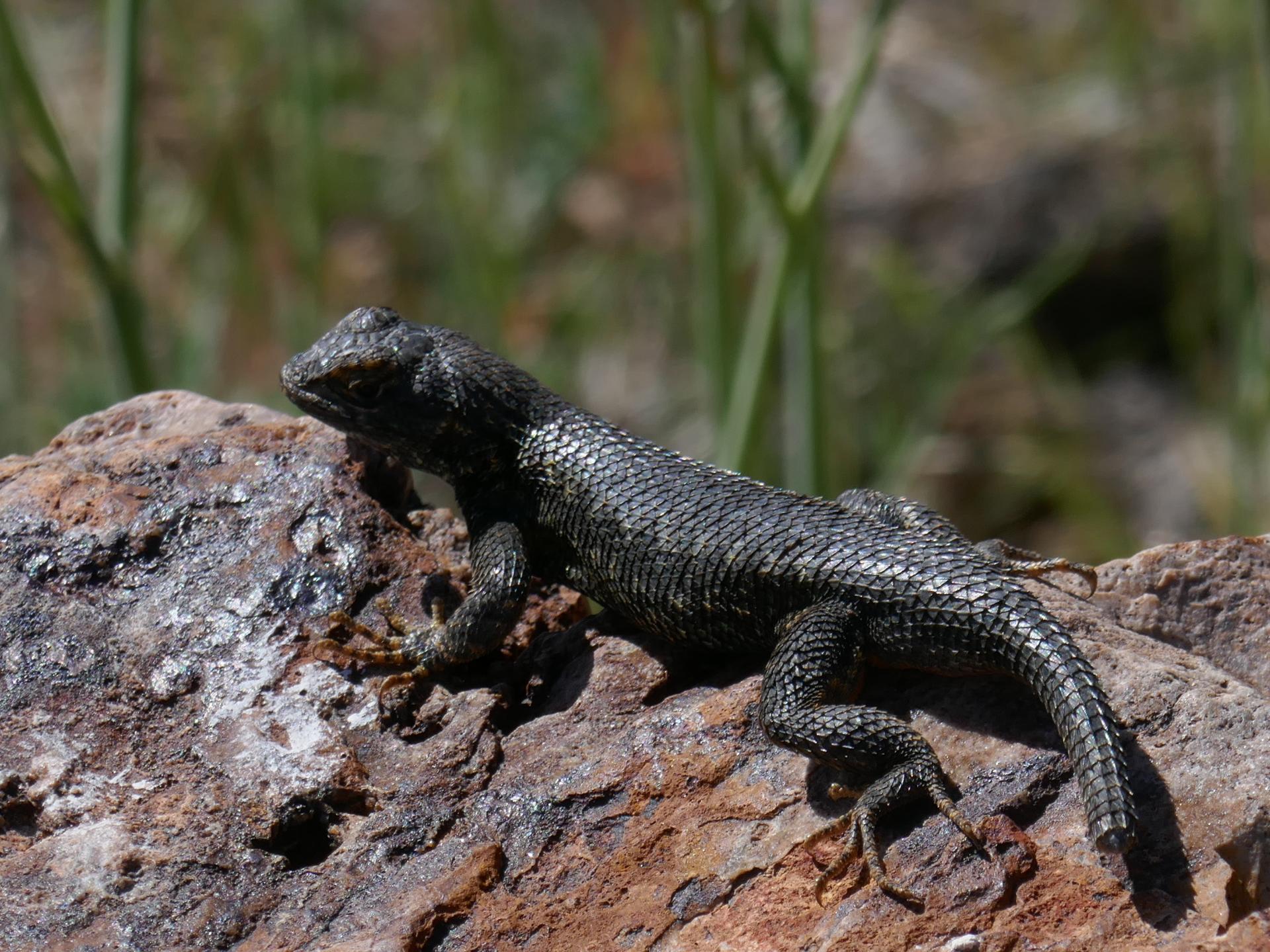 Im20230518P1090584sm