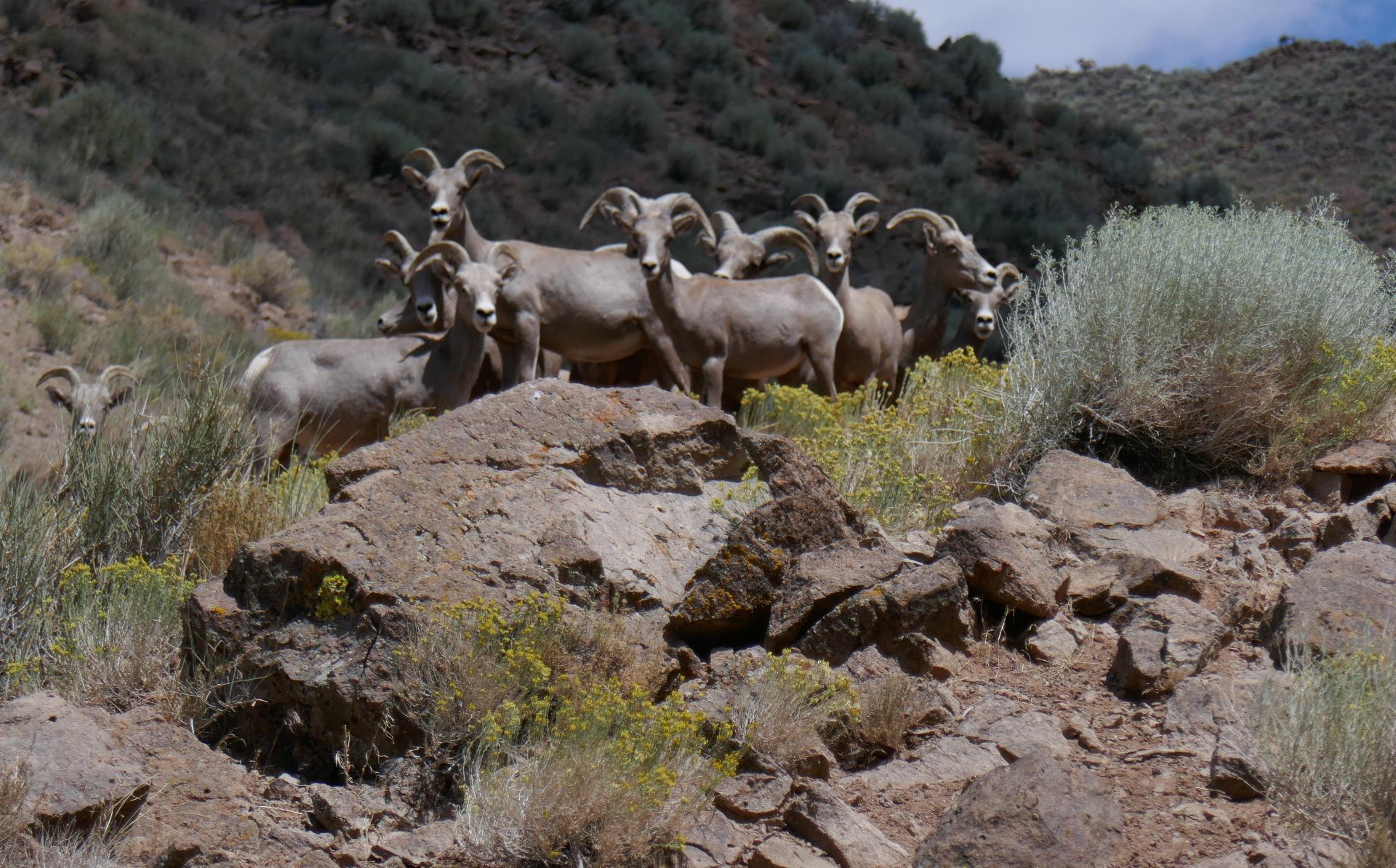 Im20230731P1100155sm