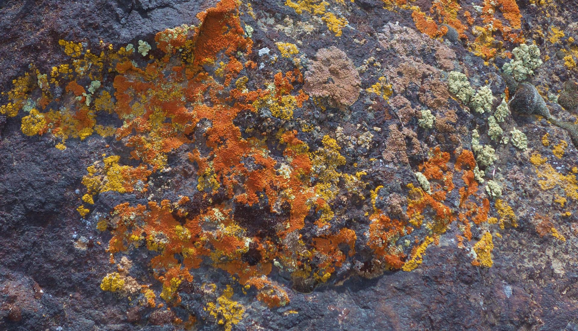 D20170513F1170439rwsm