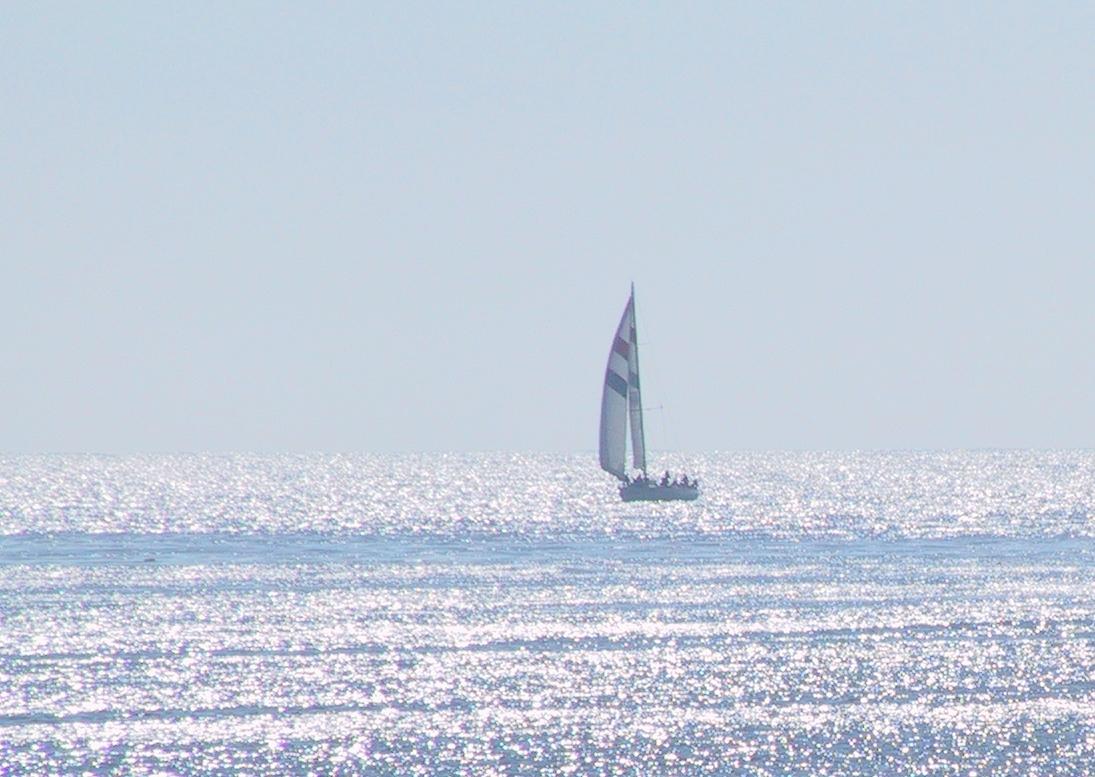 Im20051030dIMG_8899sm