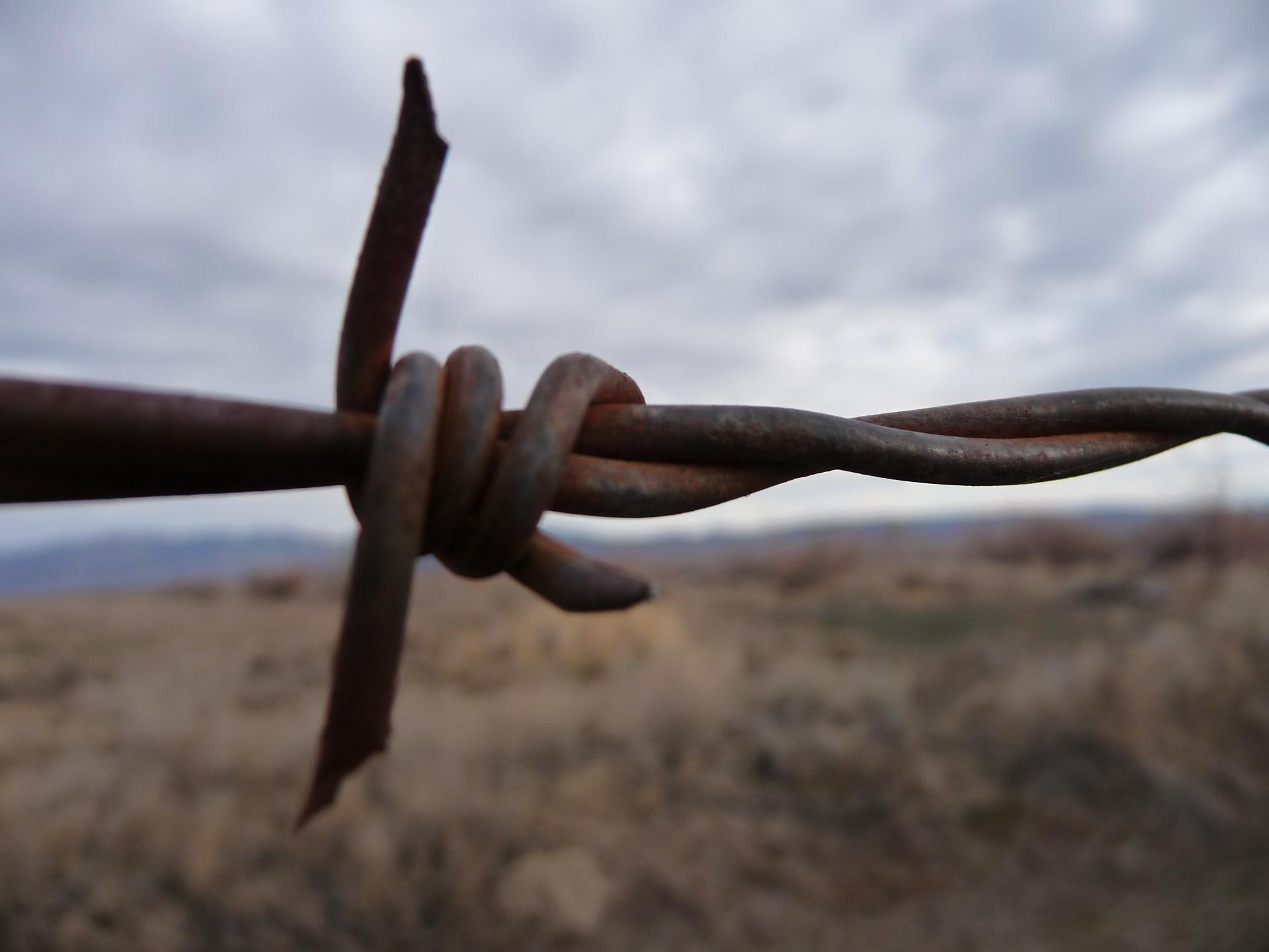 Im20110123pP1180683sm