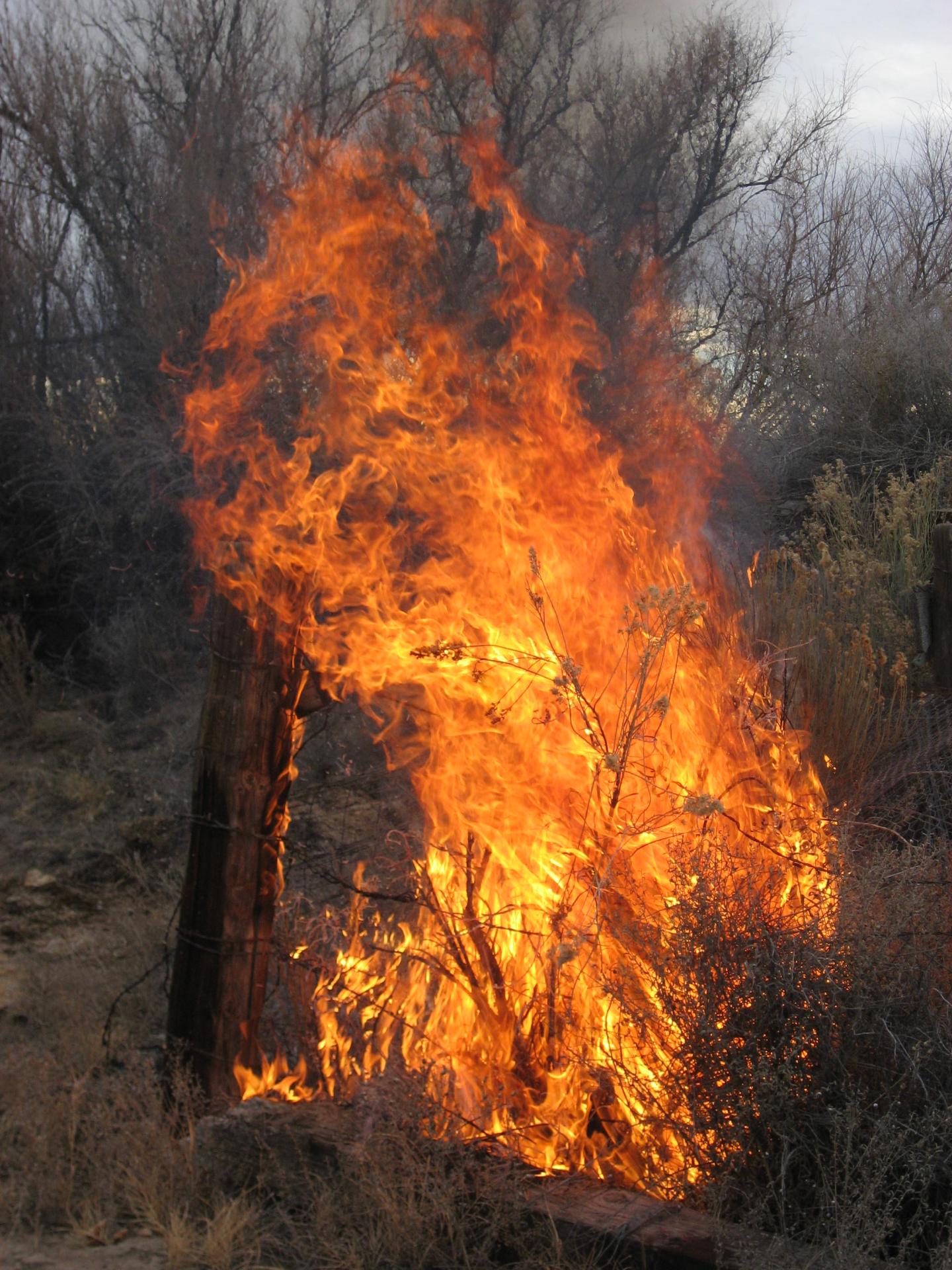 Im20110130cjIMG_7140sm