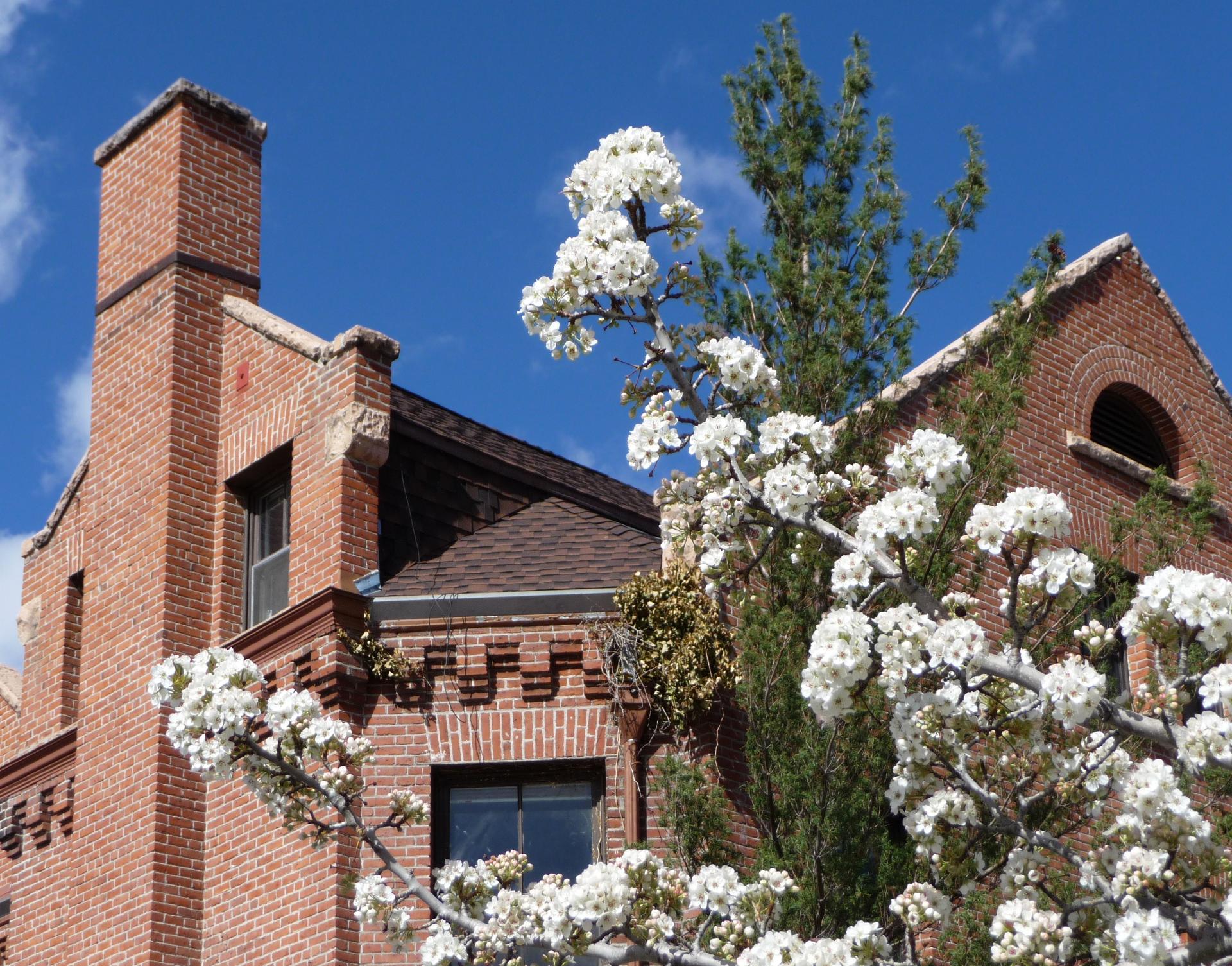 D20090411F1030482_ShiftN