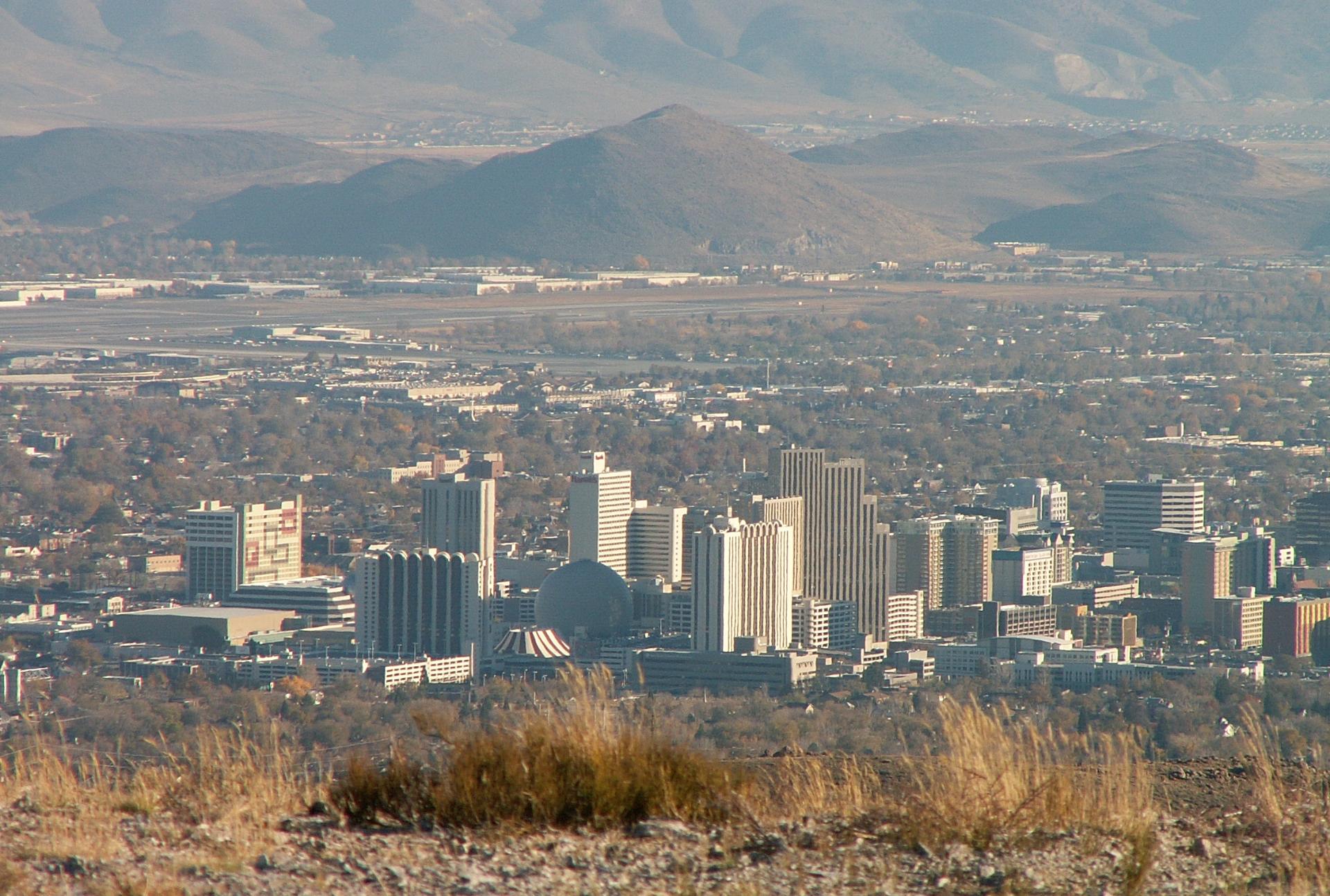 Im20081116cmPICT1756