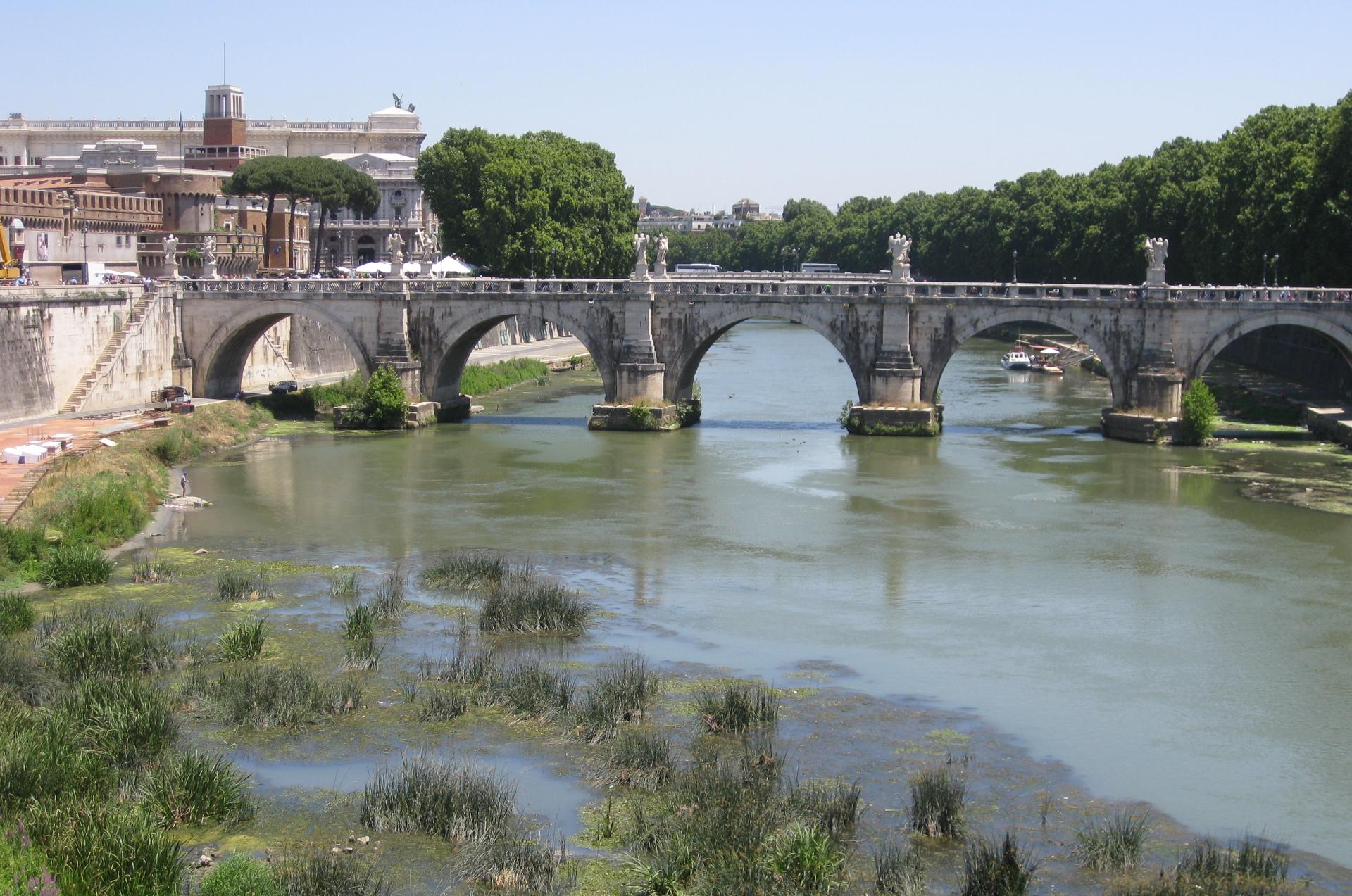 Im20120629cjIMG_6936