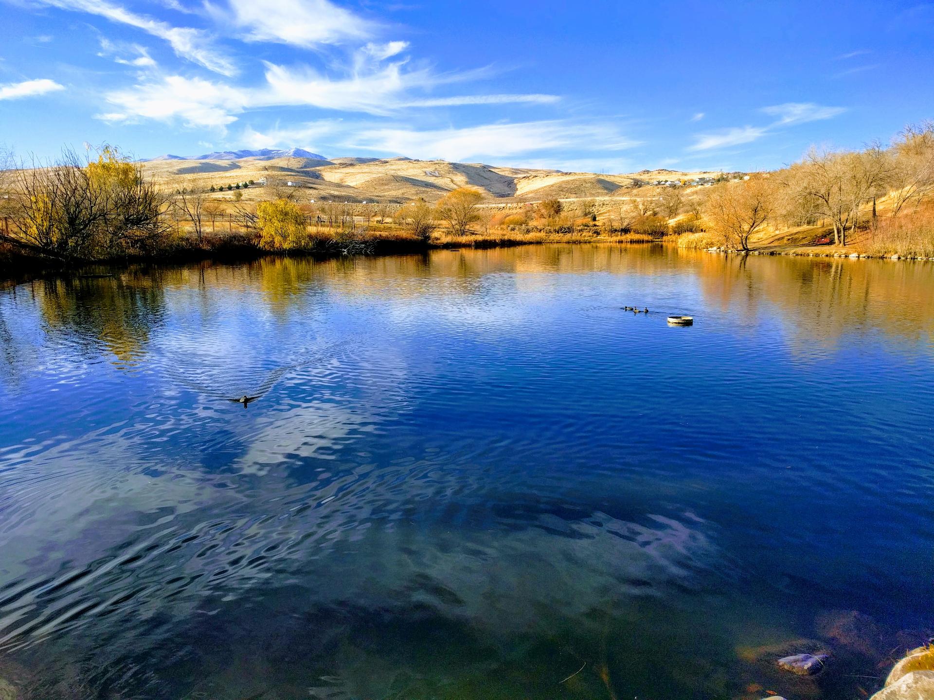 Im201712nx5IMG20171118145839EFFECTS