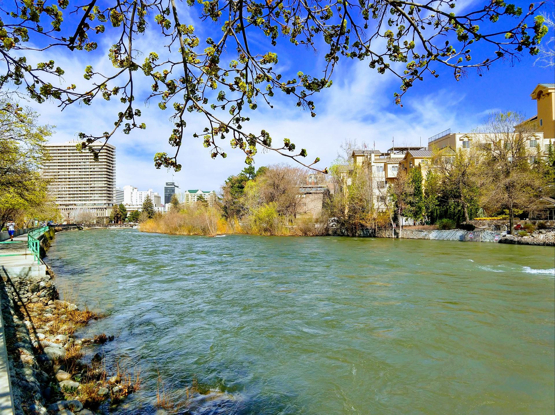 Im201904mxbIMG_20190419_155244242_HDR-EFFECTS