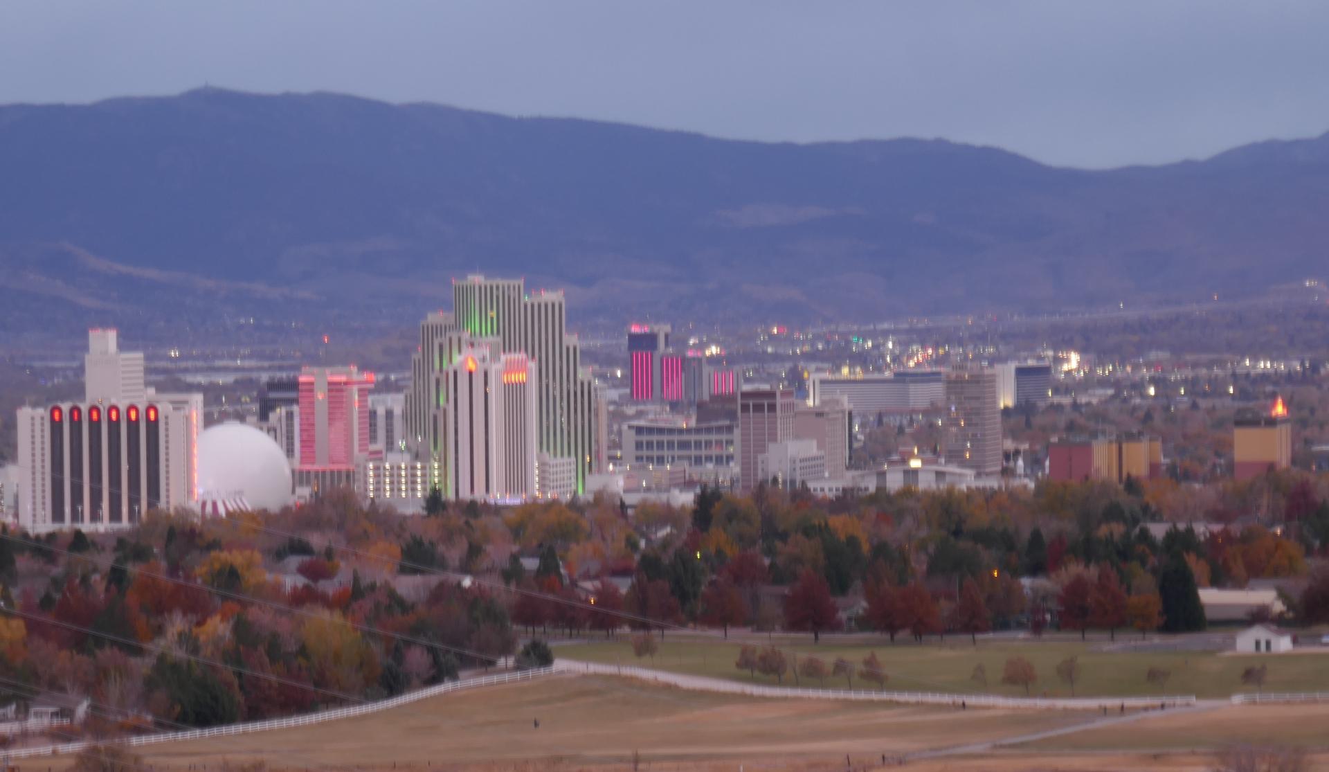 Im20201113OriP1000400