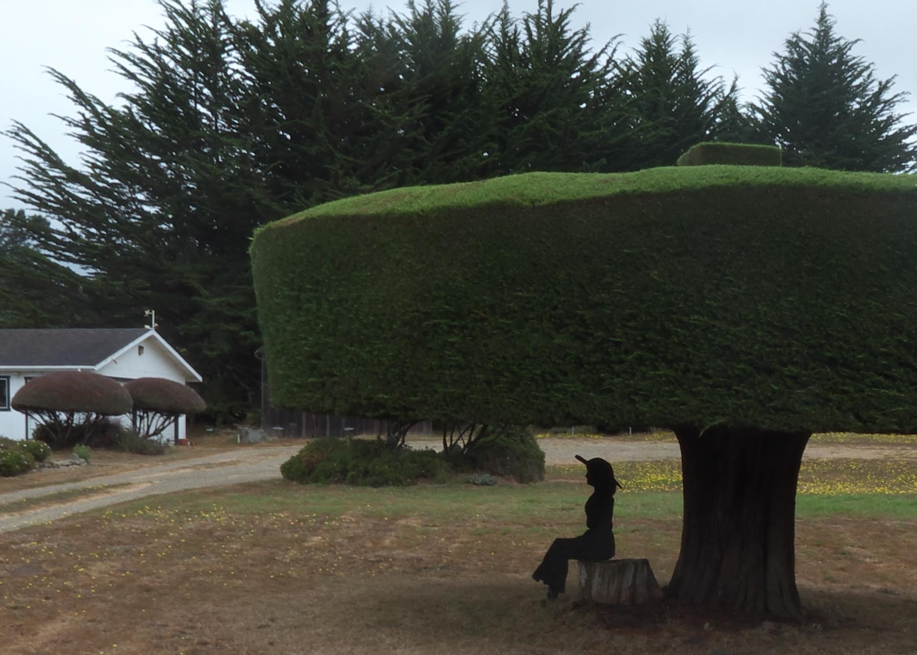 DIm20170908.pdFP1180167B