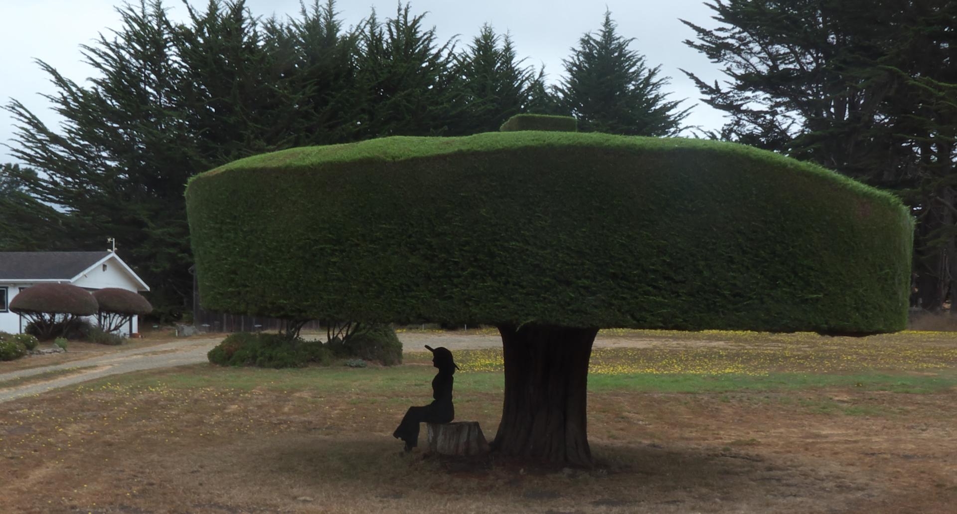 DIm20170908.pdFP1180167C2rw