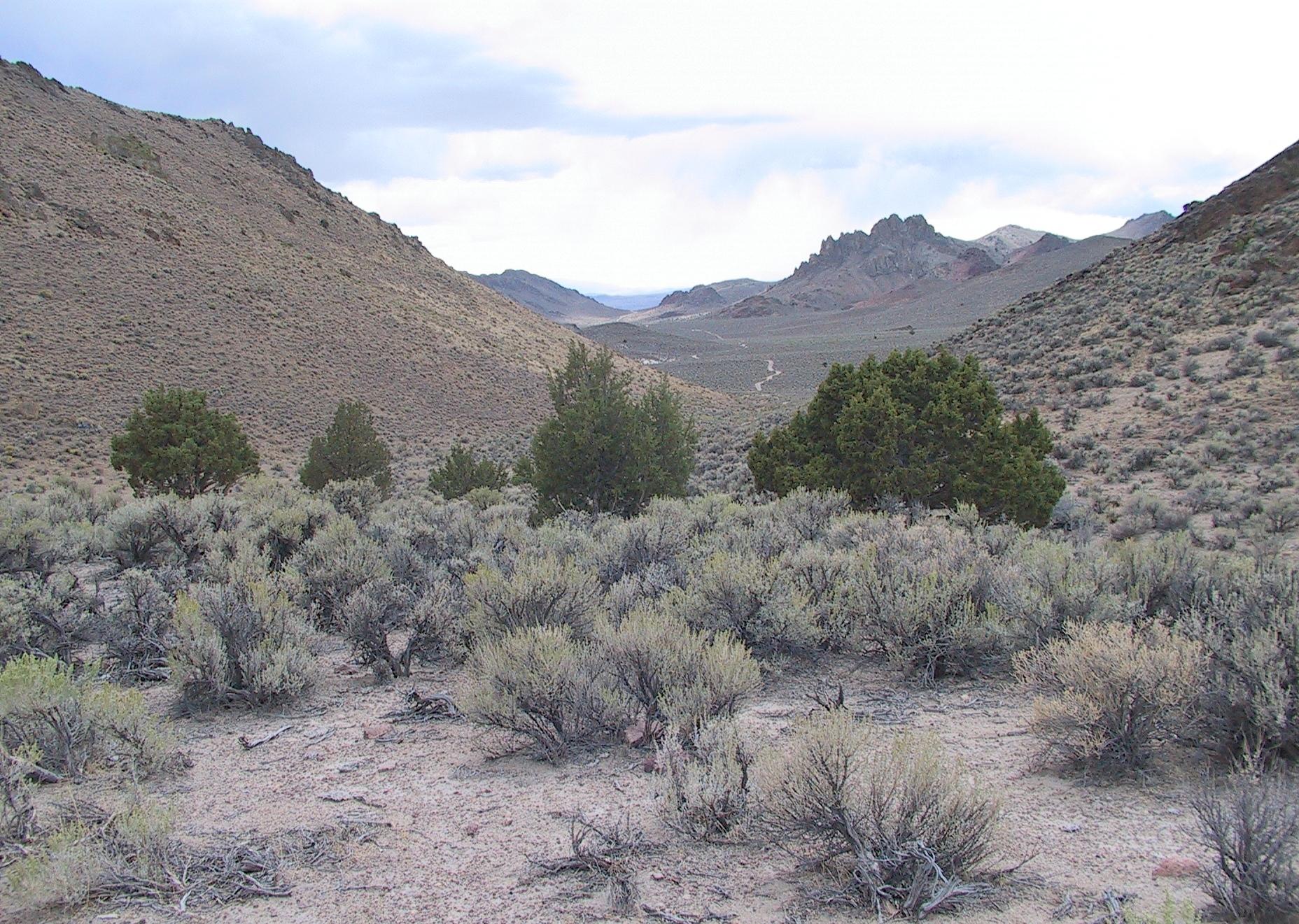 Im20040919IMG_5562_RJ