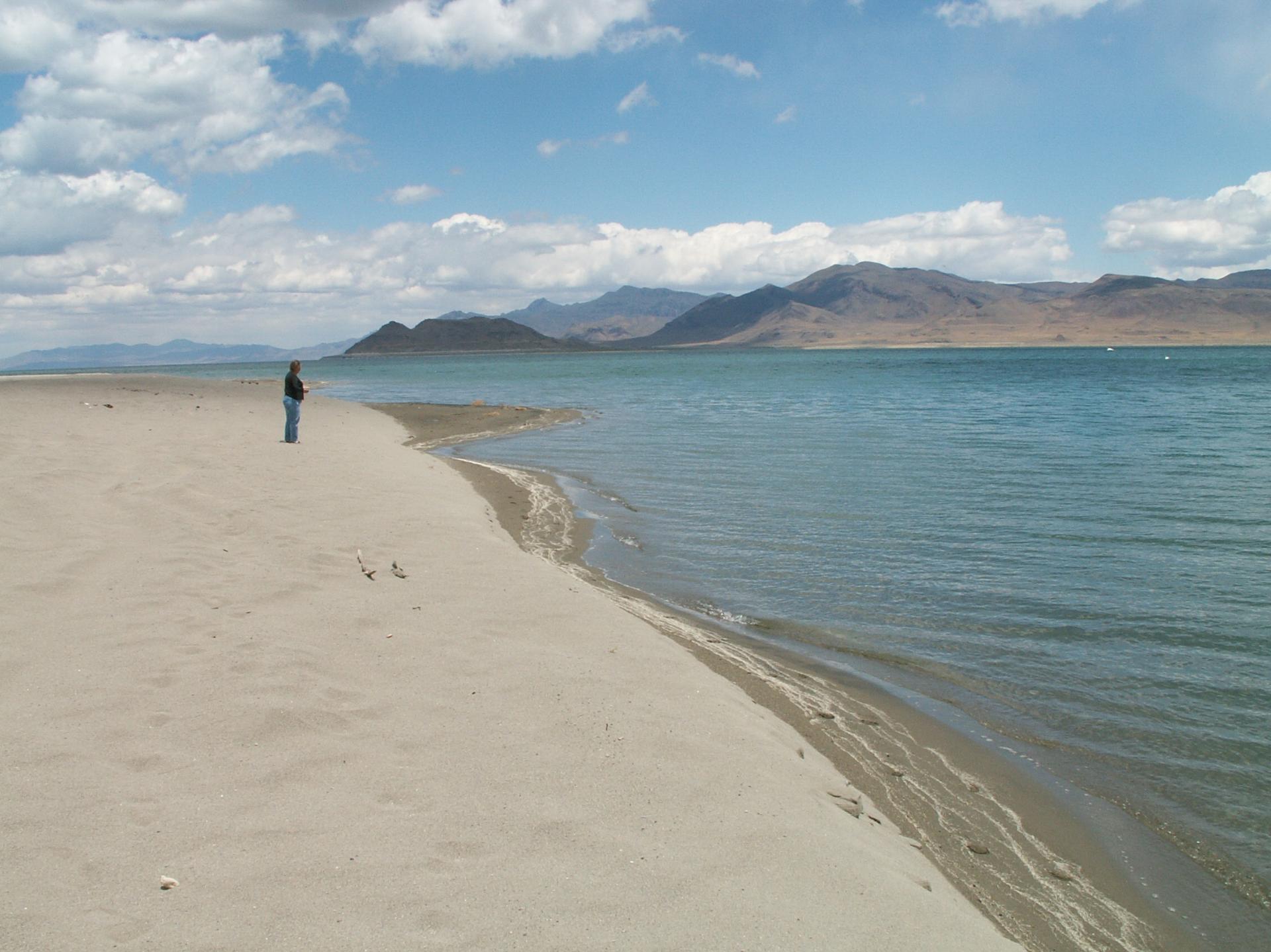 Im20050606m1PICT0612