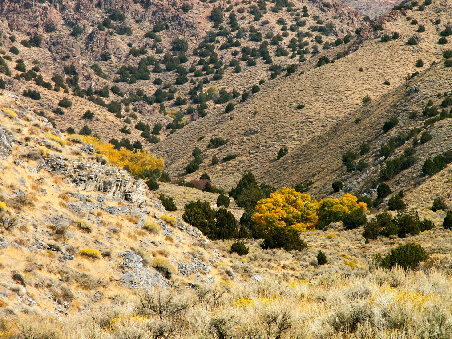 Im20061015mPICT8245b