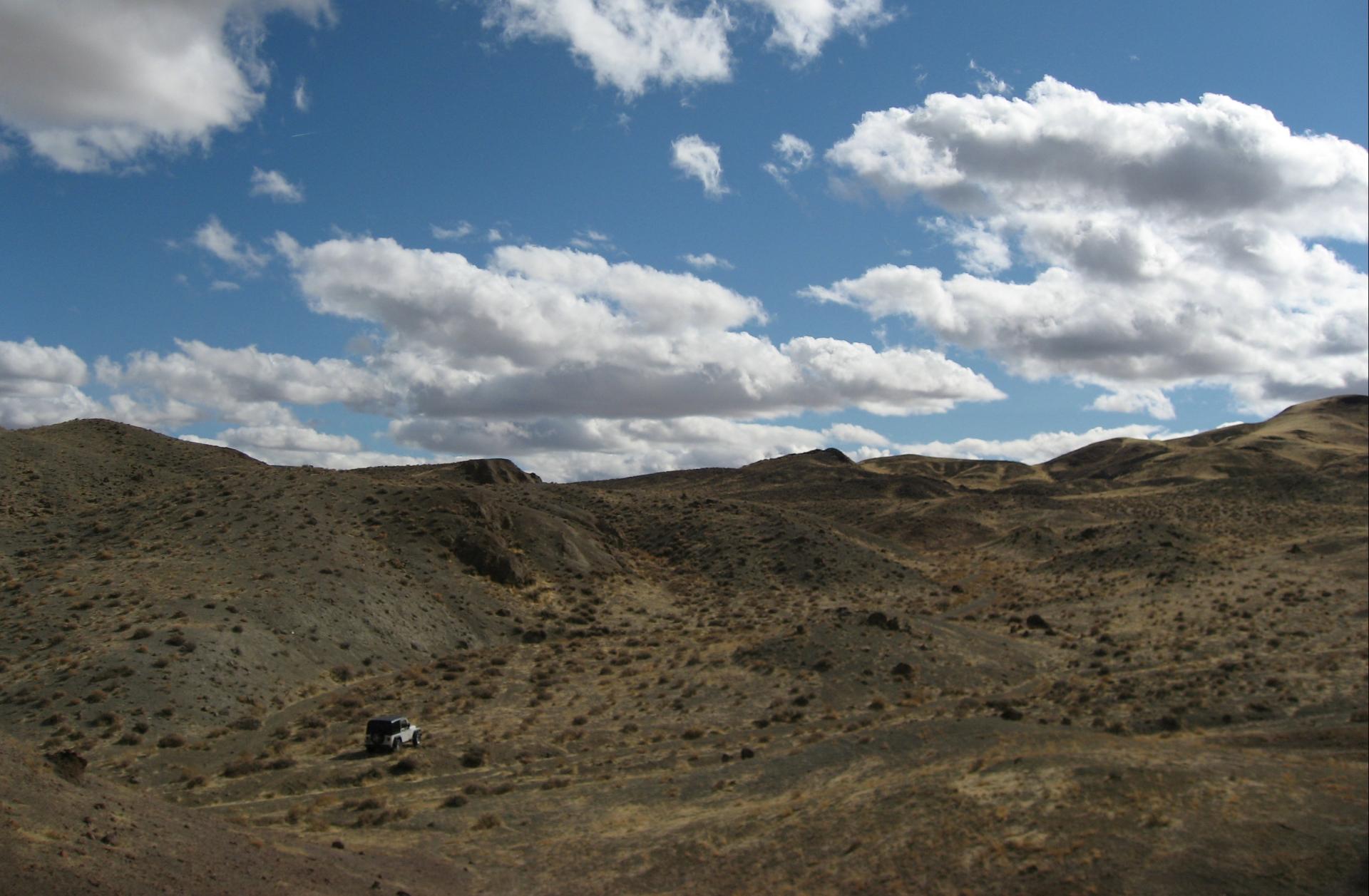 Im20070211cmIMG_1538