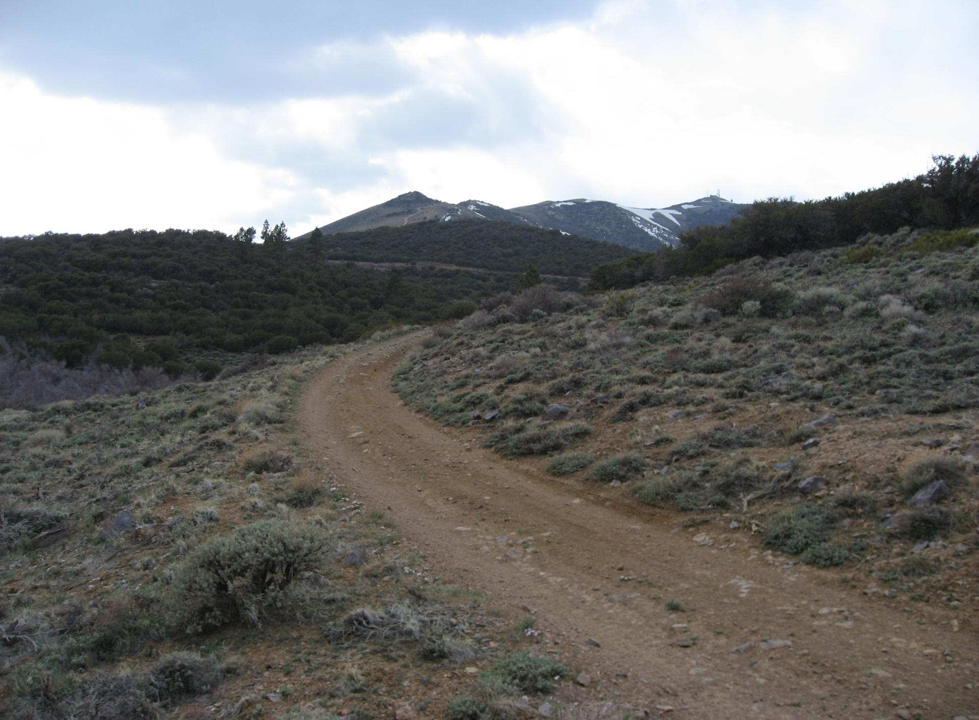 Im20080503cmIMG_0656