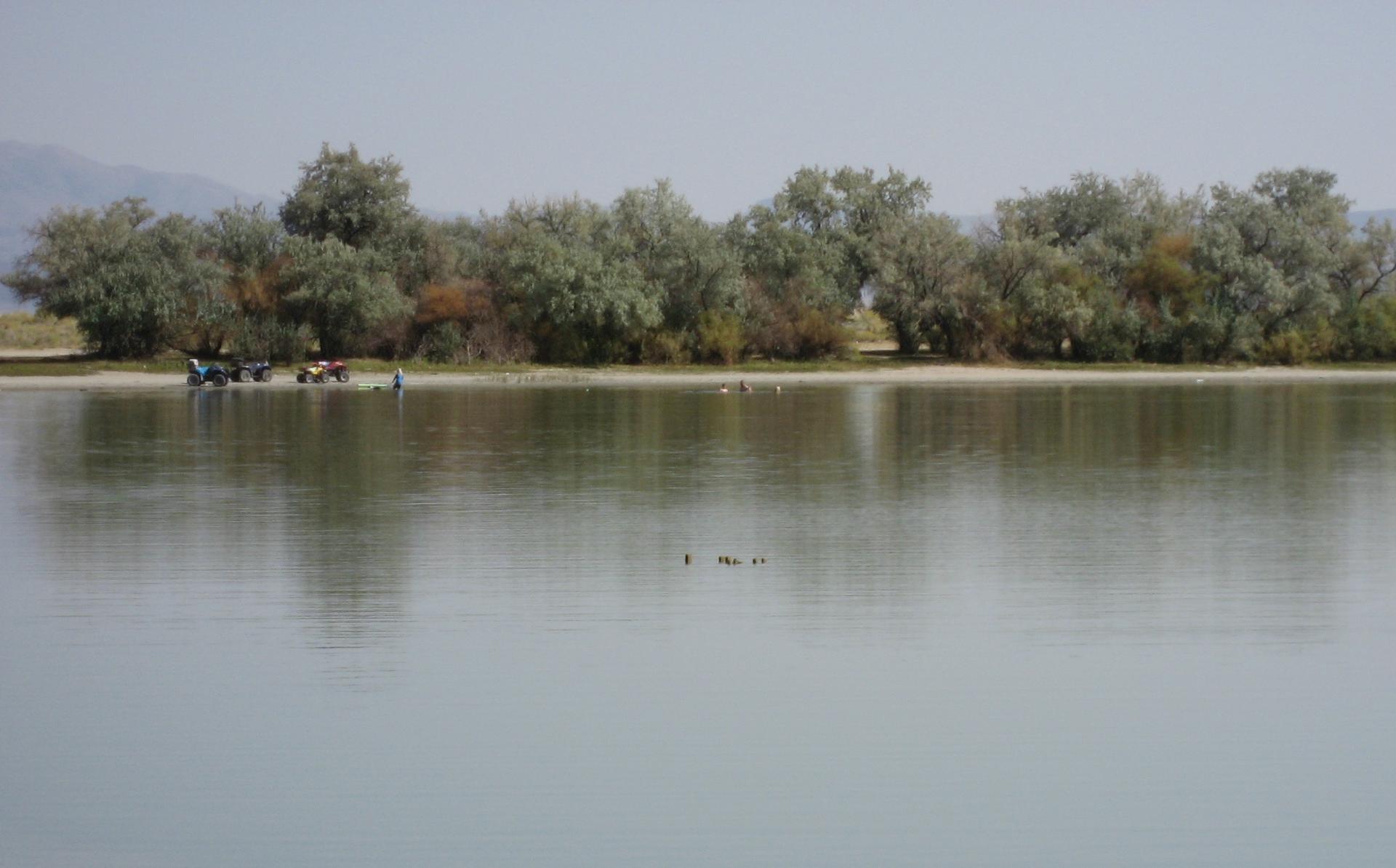 Im20080913cdIMG_2865