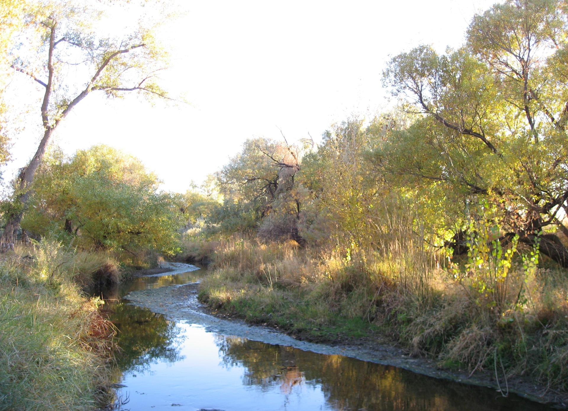 Im20081026cdIMG_3284