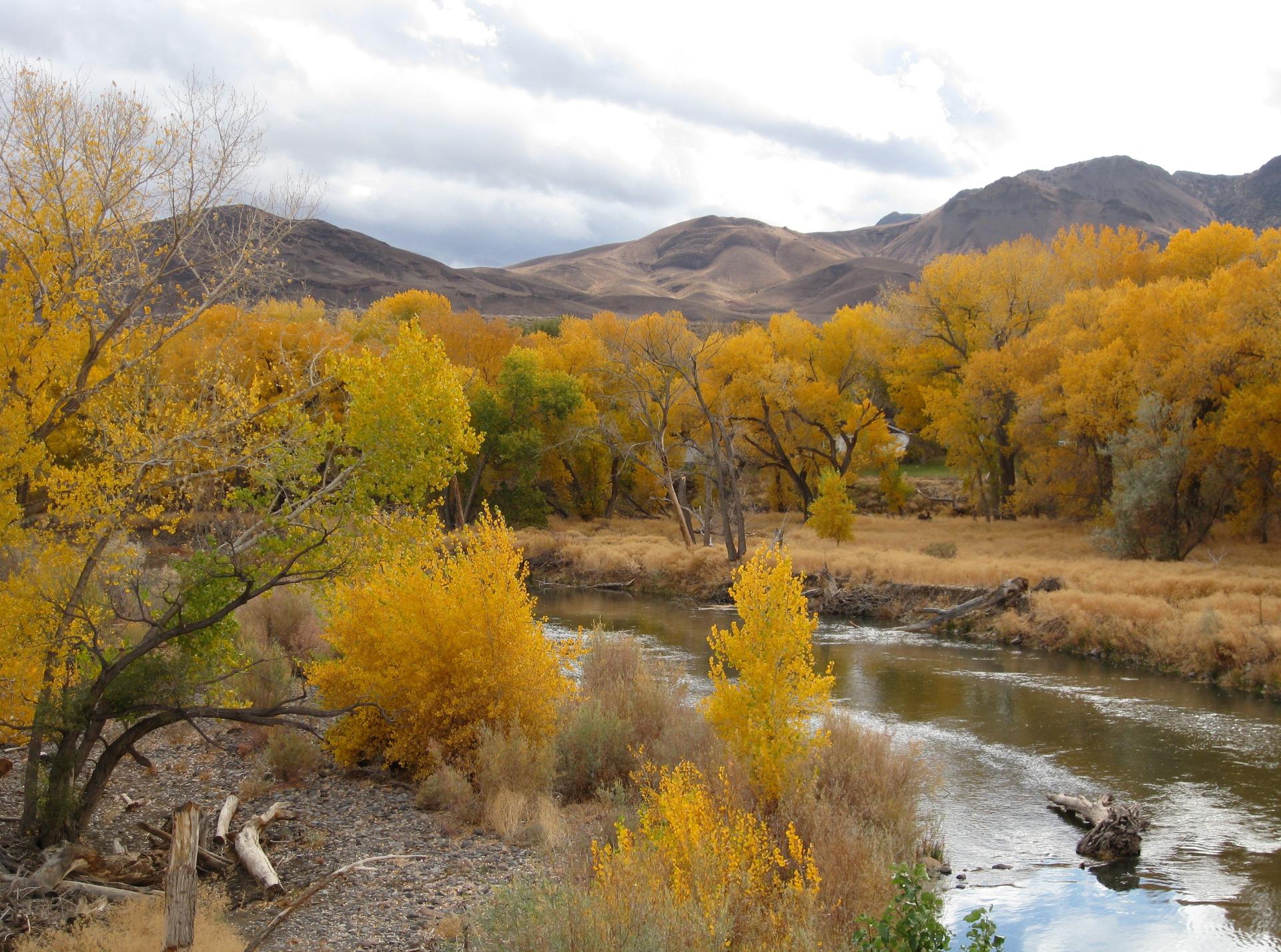 Im20081102cjIMG_2957