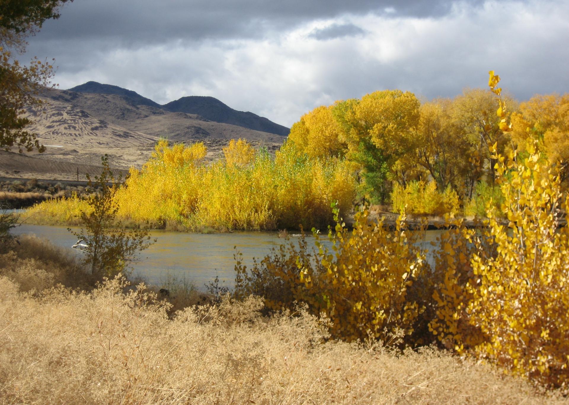 Im20081102cmIMG_3418