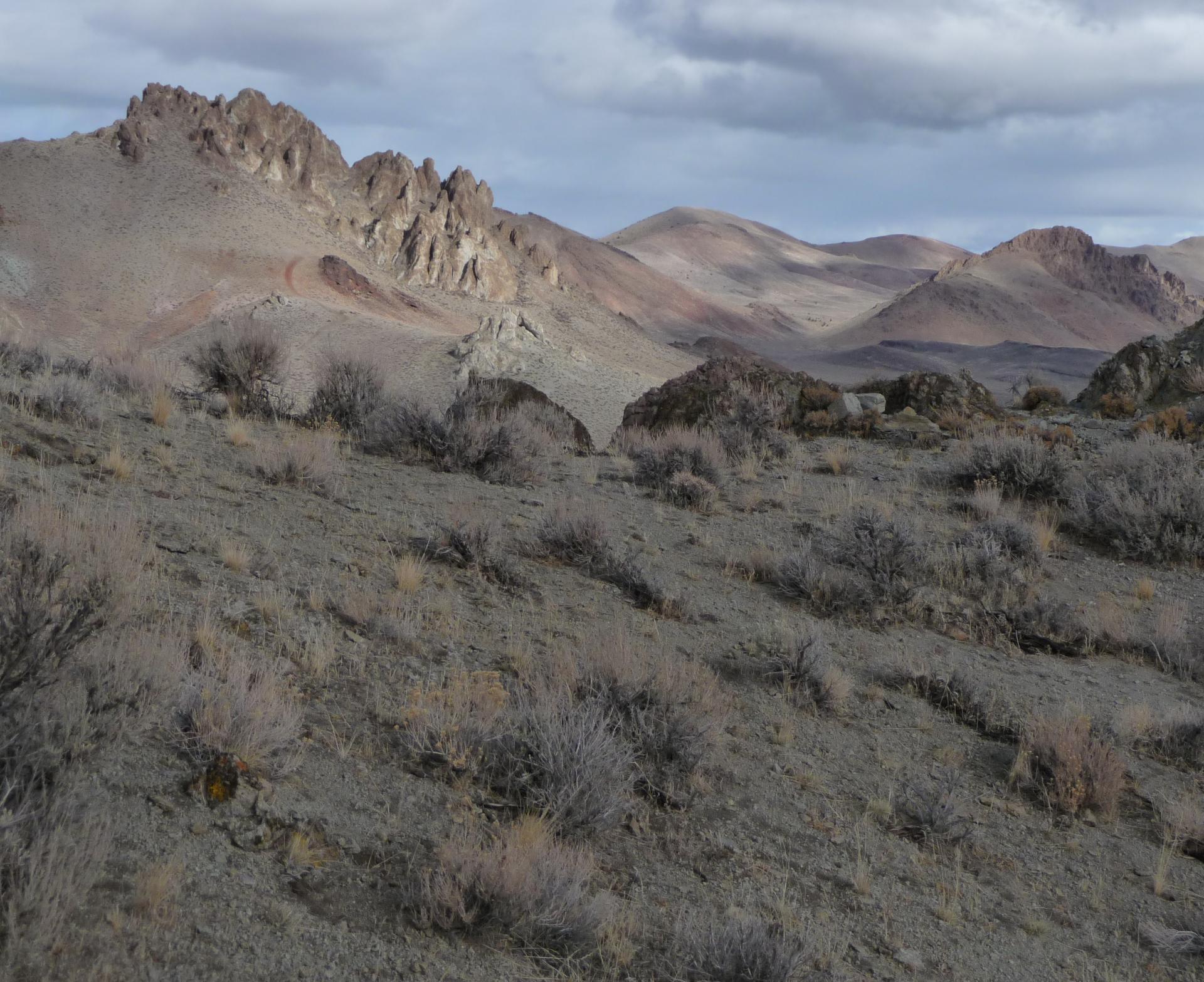 Im20090124cjpP1020010