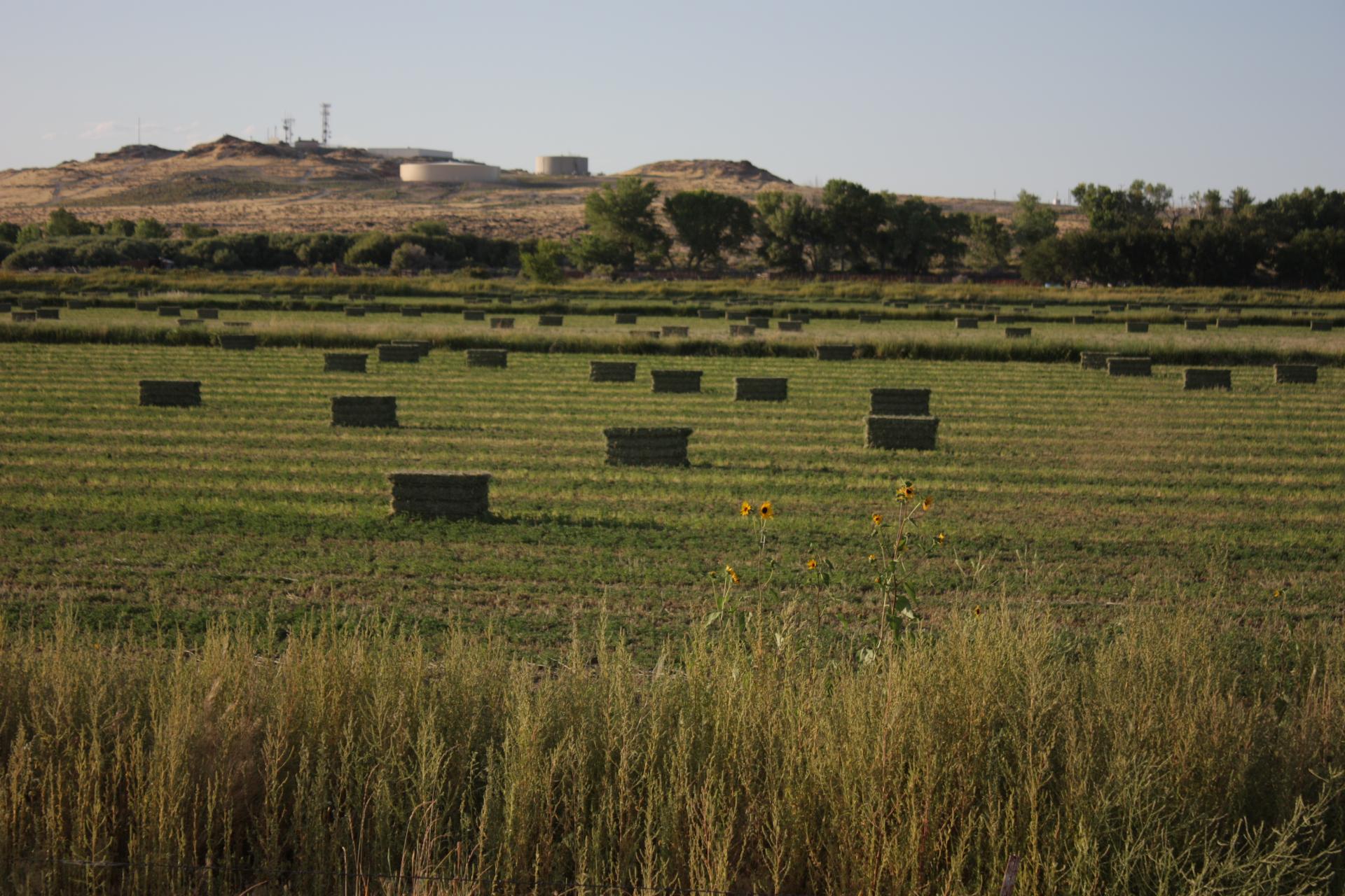 Im20110821crpIMG4142