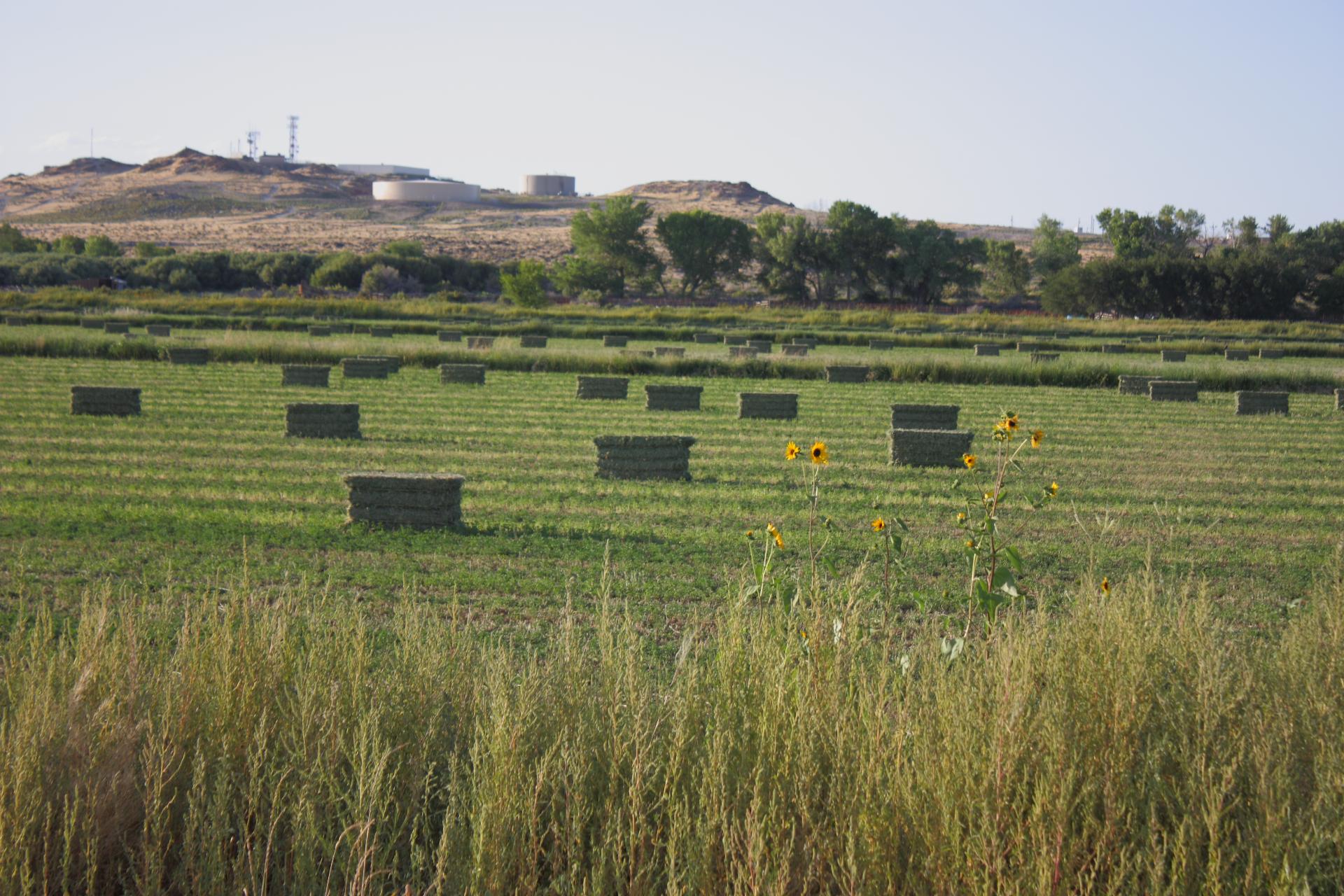 Im20110821crpIMG_4144b