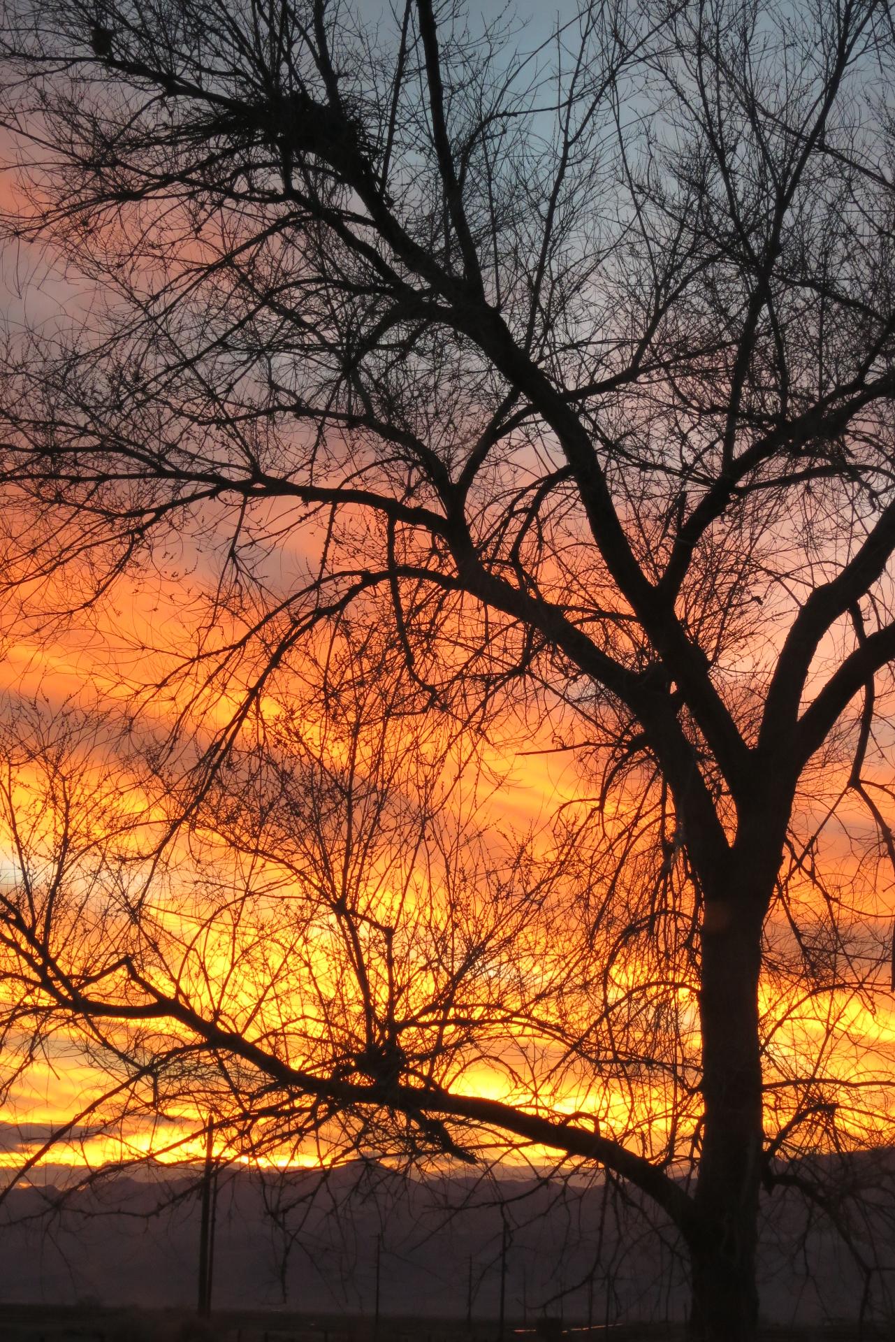 Im20130331cjpIMG_0650