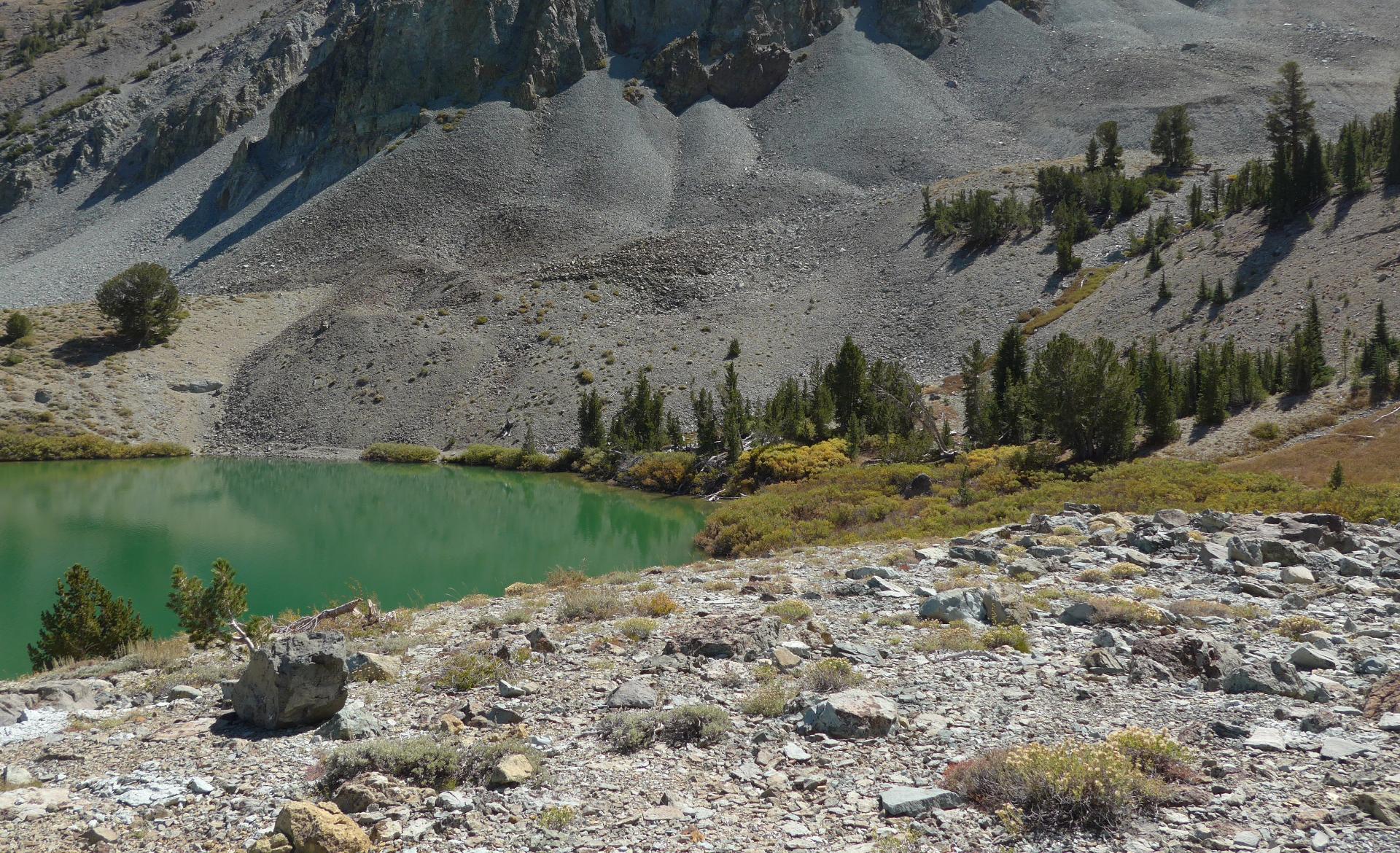 Im20150917pdP1110289