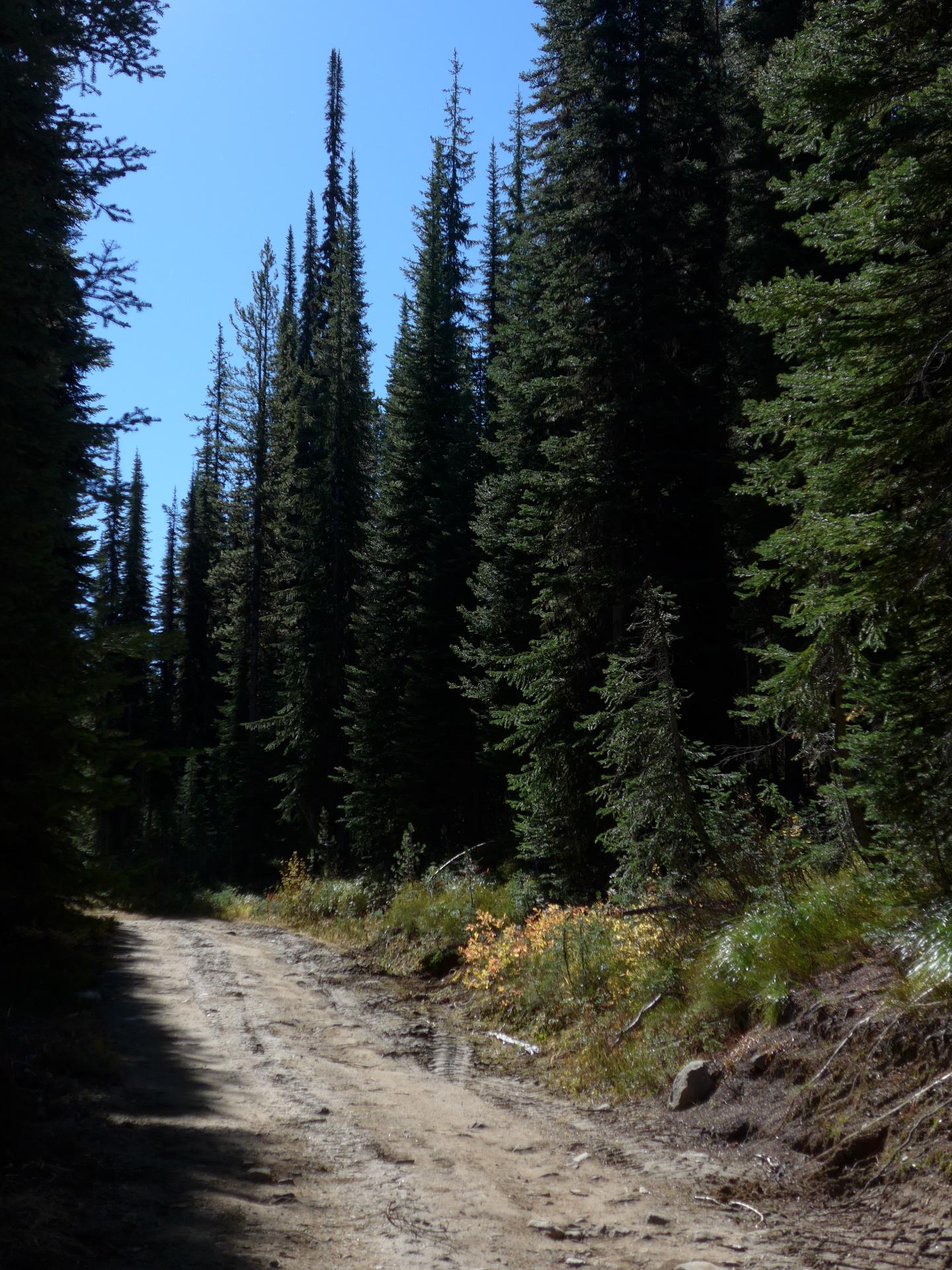 Im20150929pdP1110425