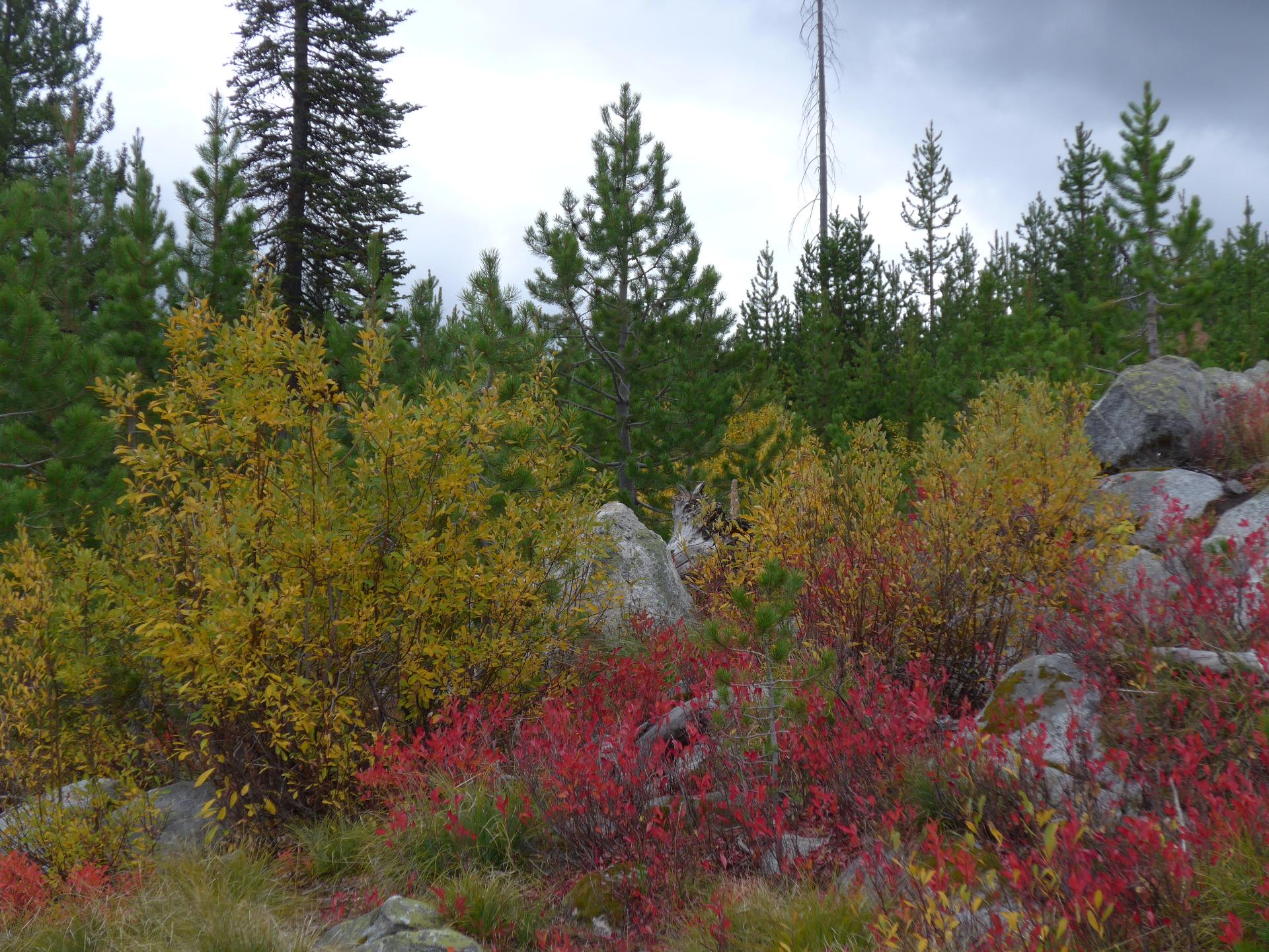 Im20151003pdP1110599