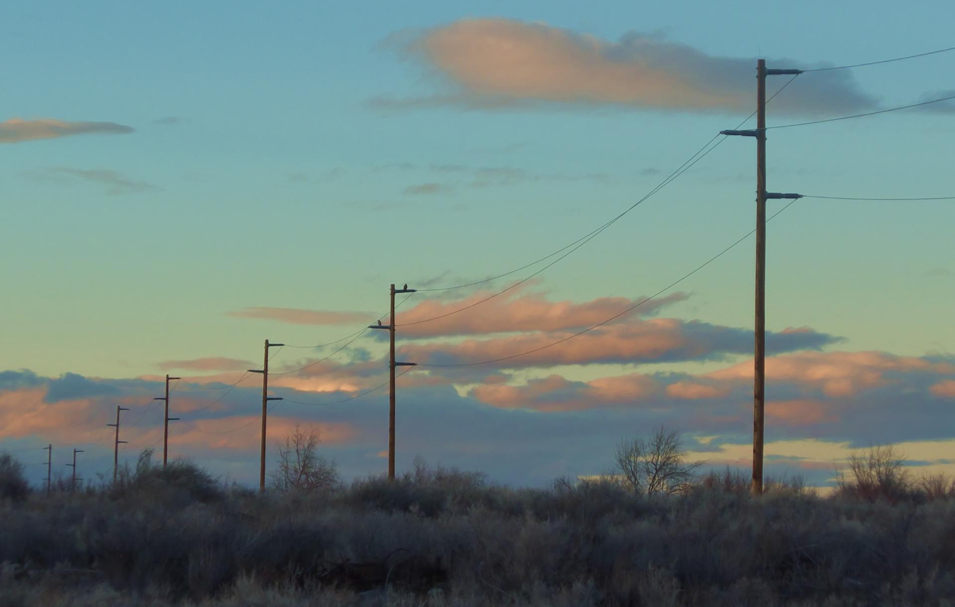 Im20170123pdP1160489rw2