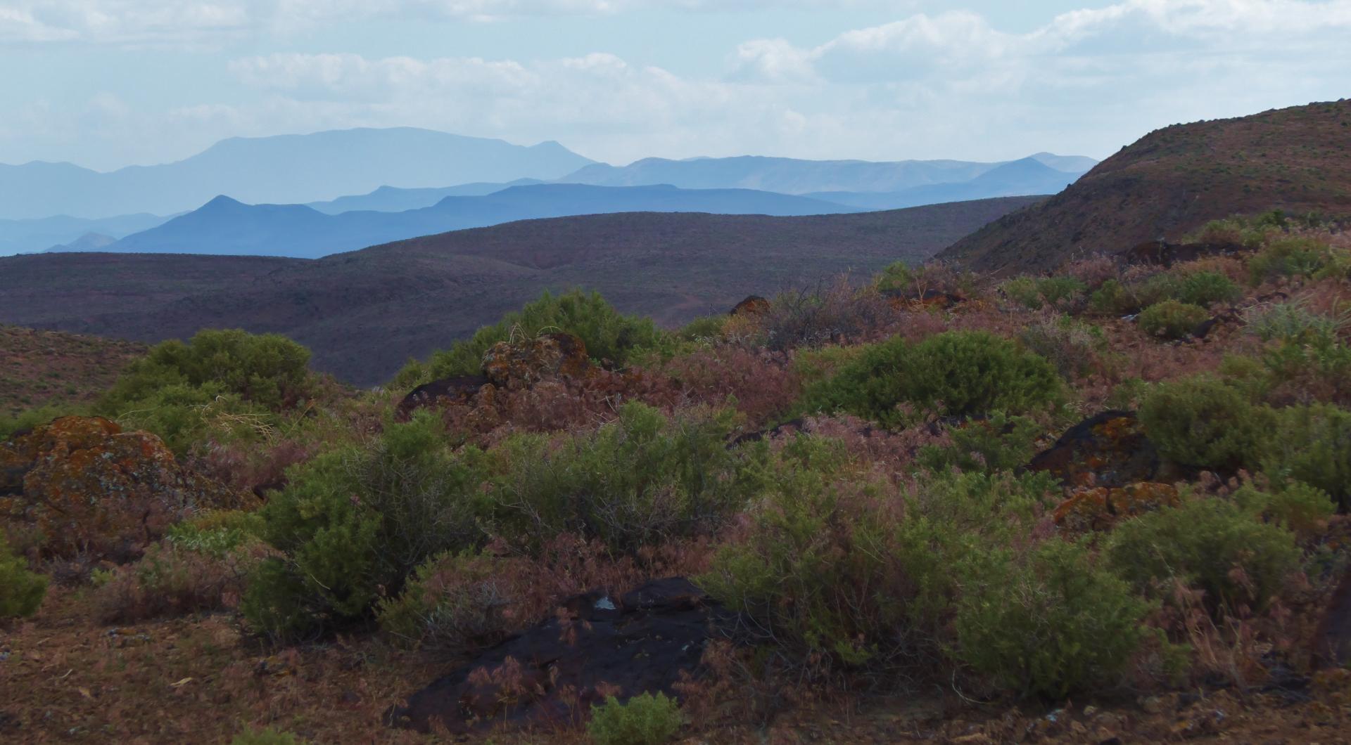 Im20170513pdP1170488rw2