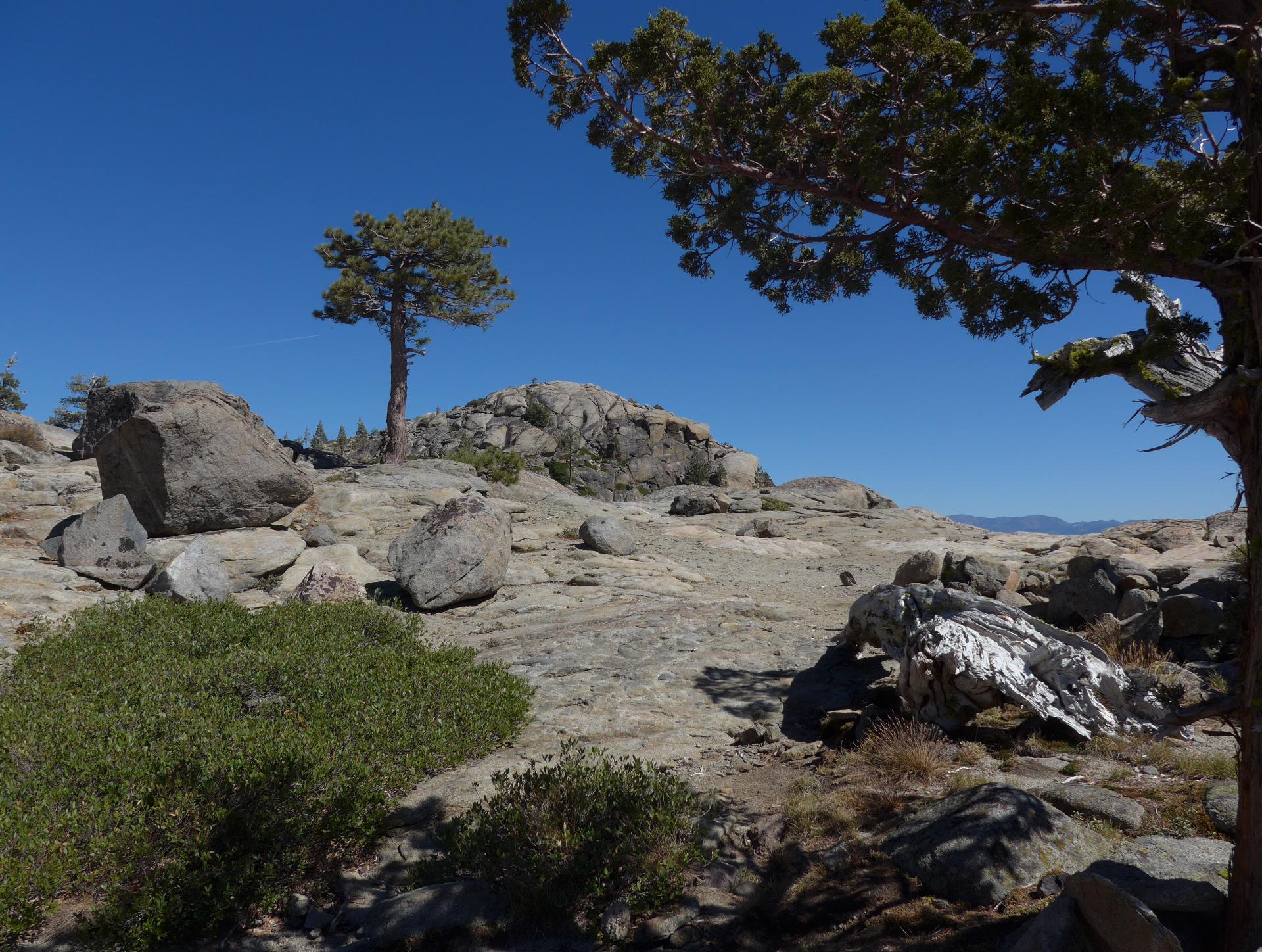 Im20170924pdP1180382