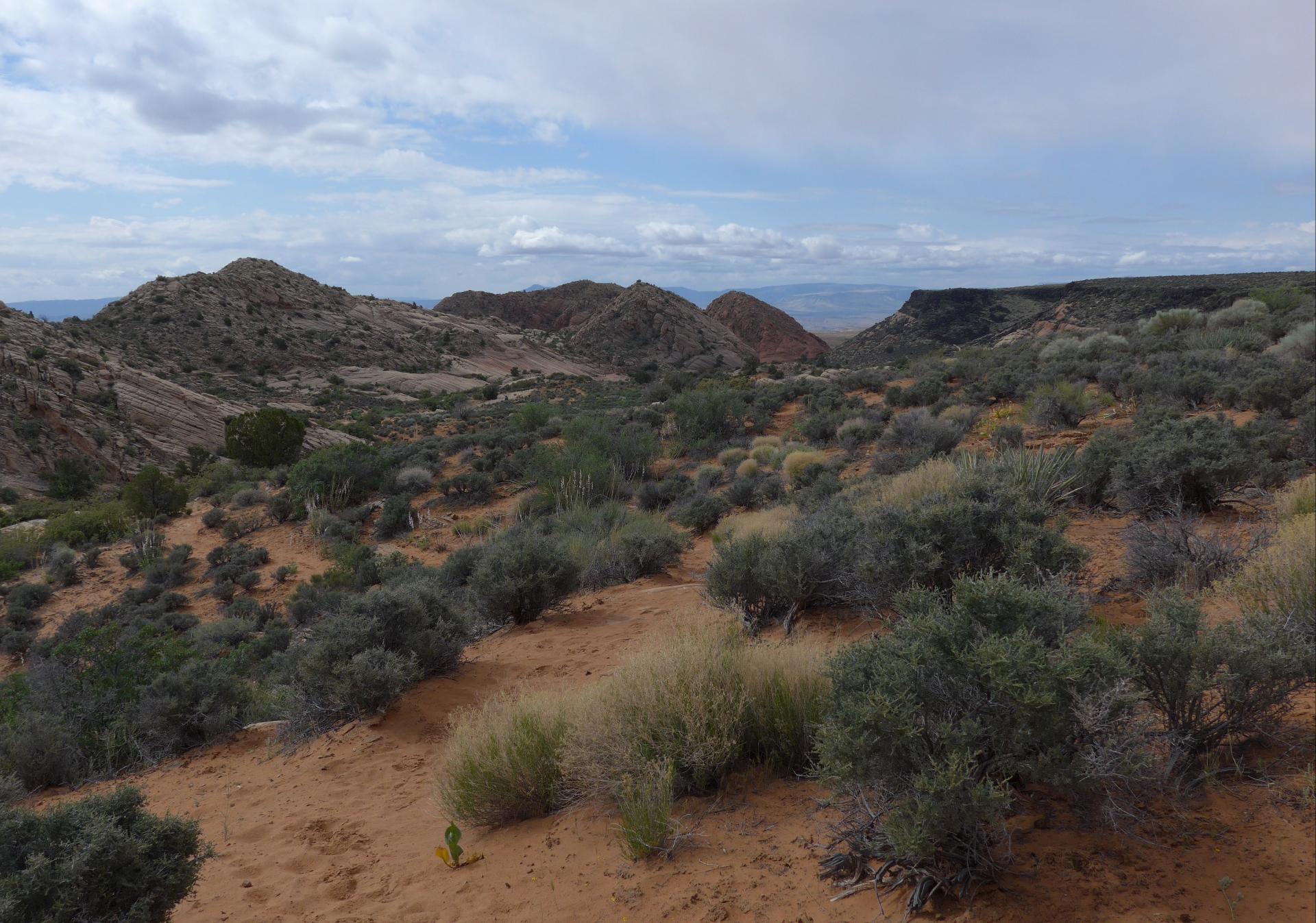 Im20180504pdP1190649