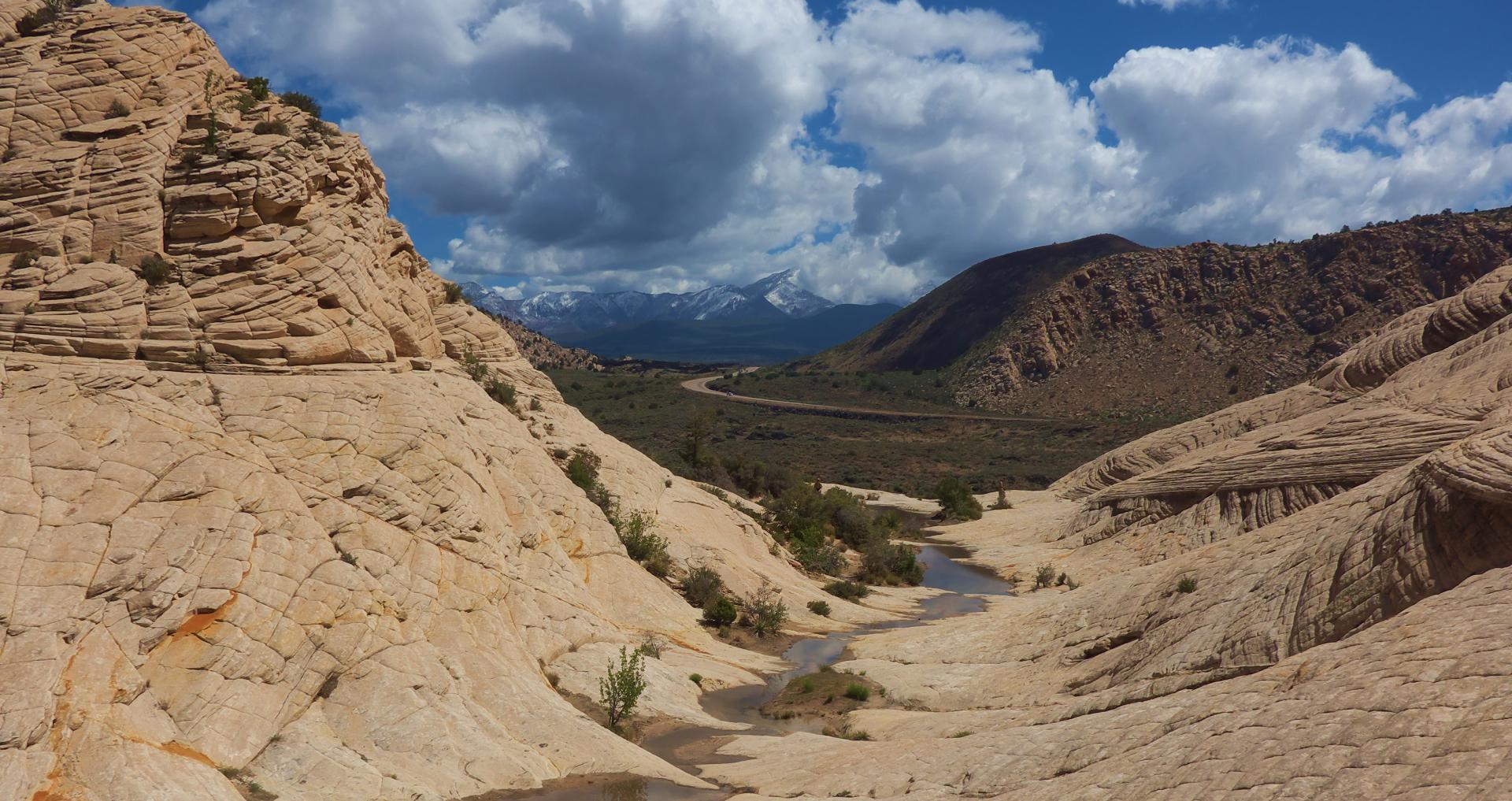 Im20180504rw2P1190835rw2