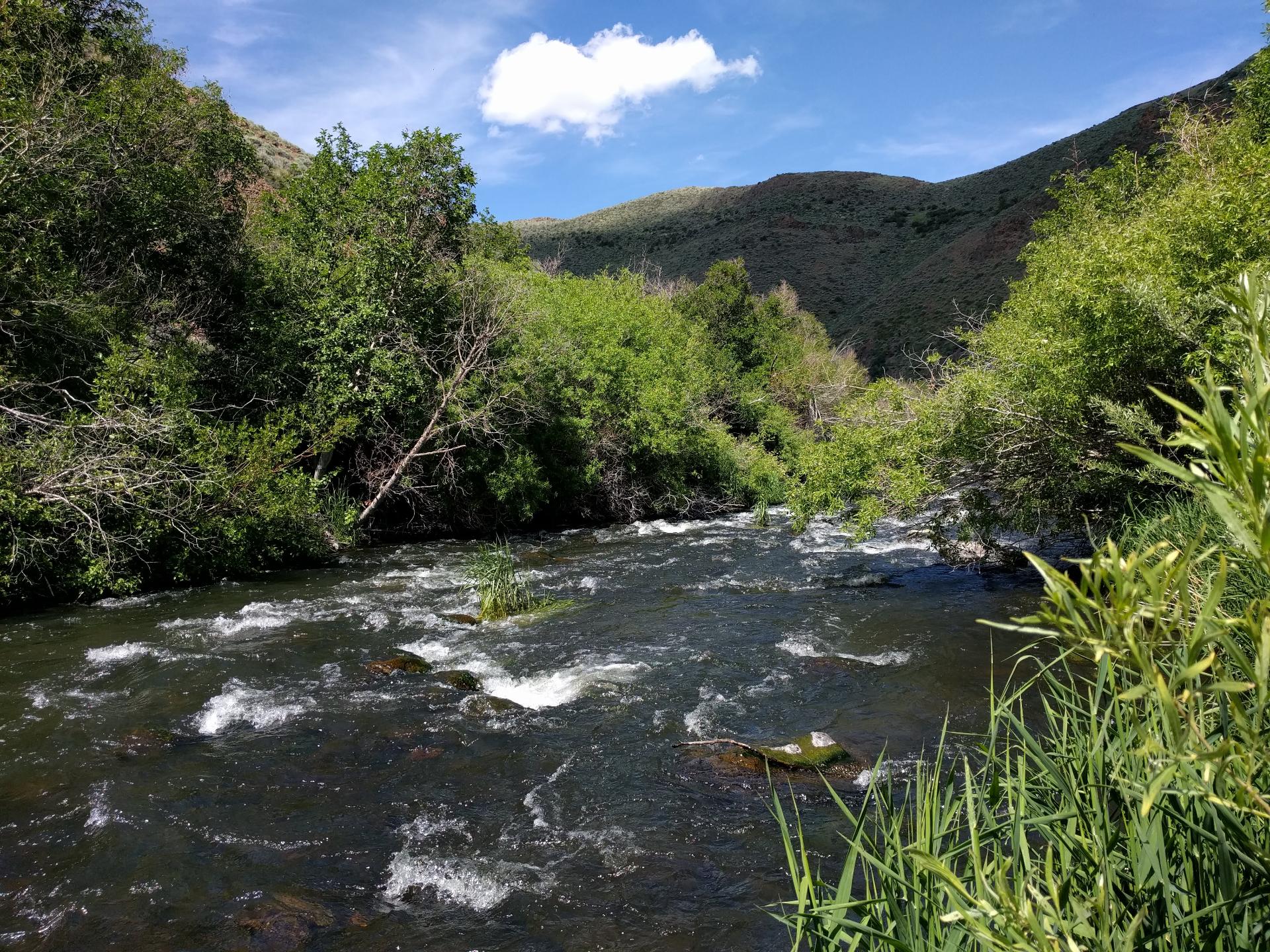 Im201806nx5IMG20180622150842