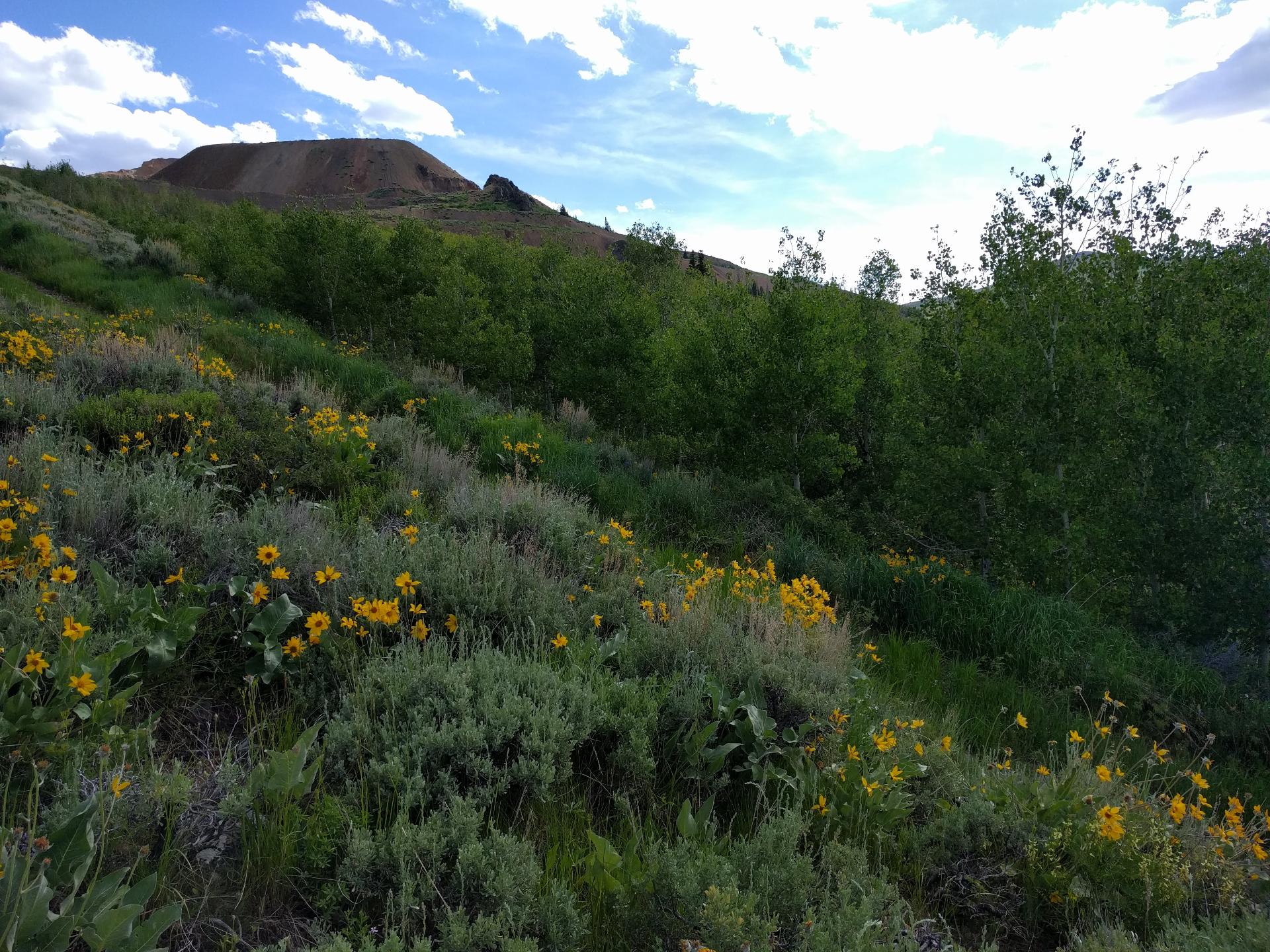 Im201806nx5IMG20180622162532