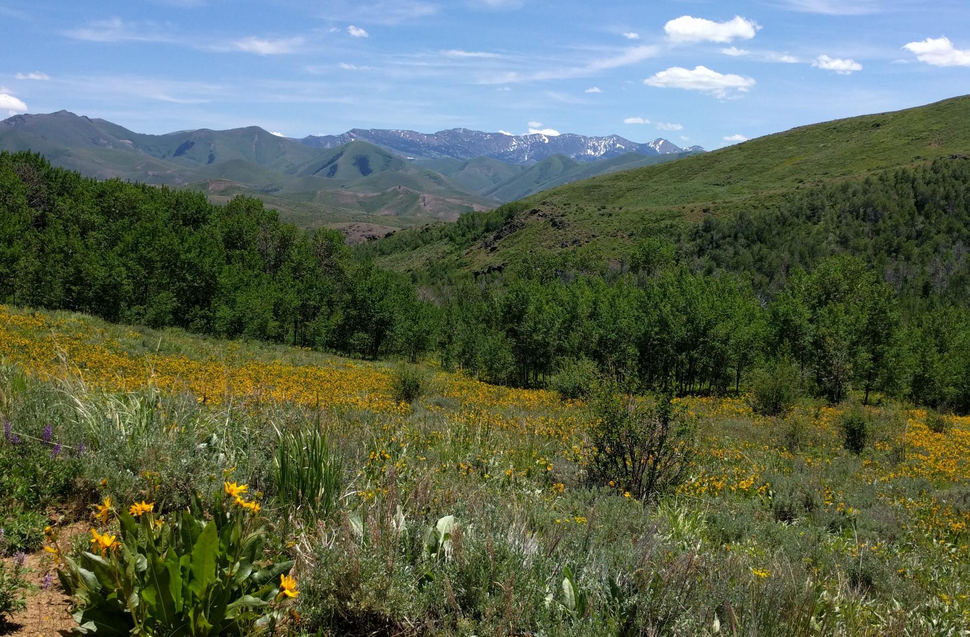 Im201806nx5IMG_20180622_132952