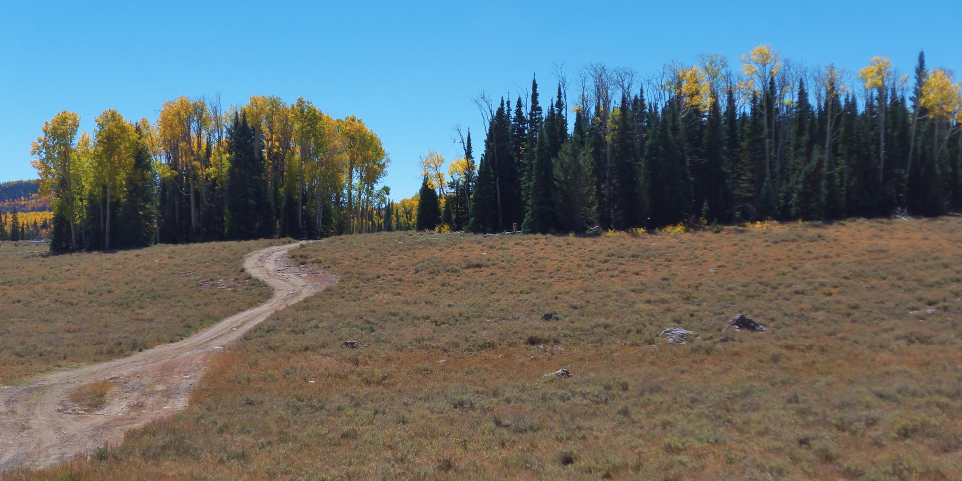 Im20180927rw2P1210228rw2