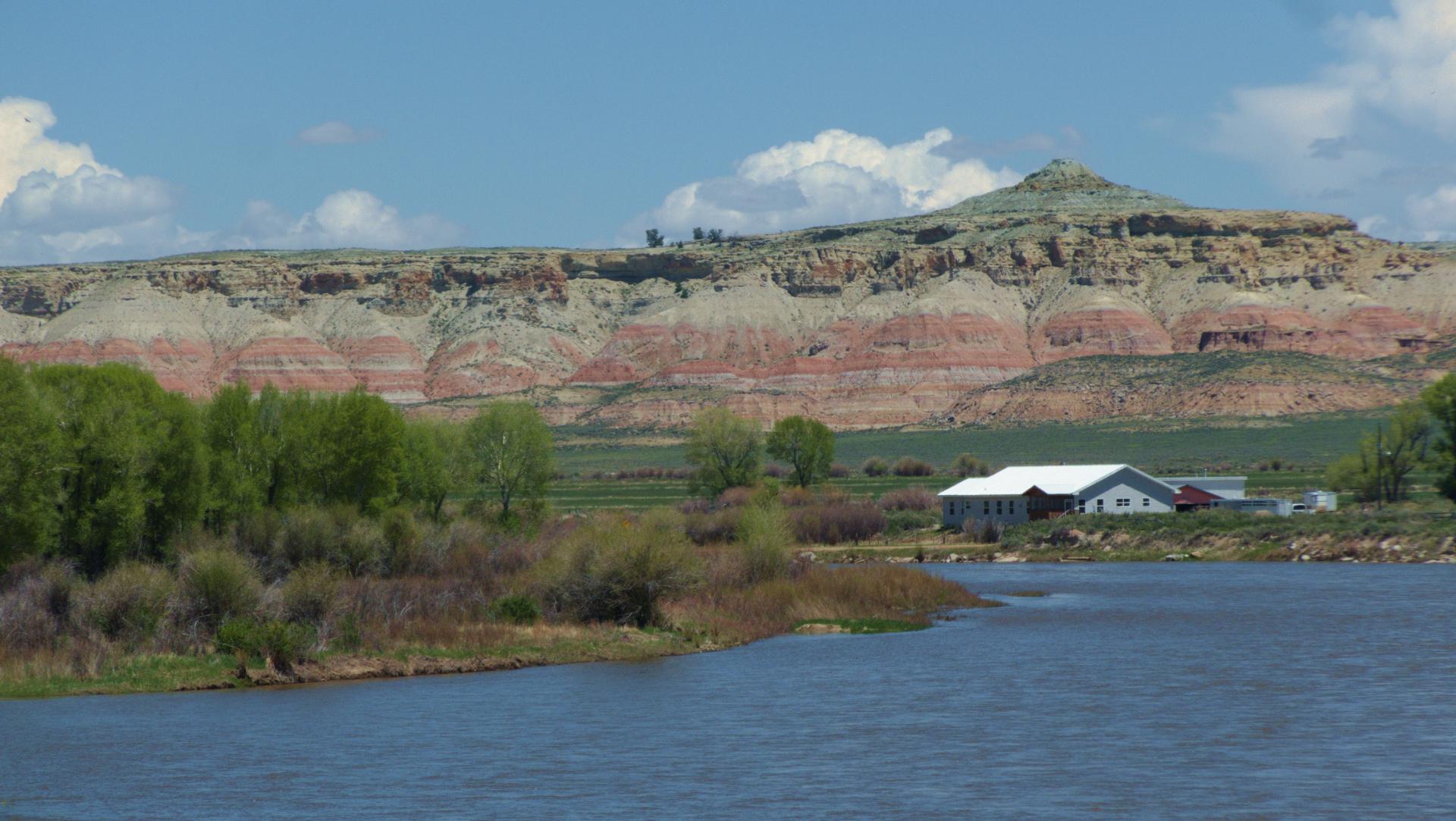 Im20190609rawP1220574rw