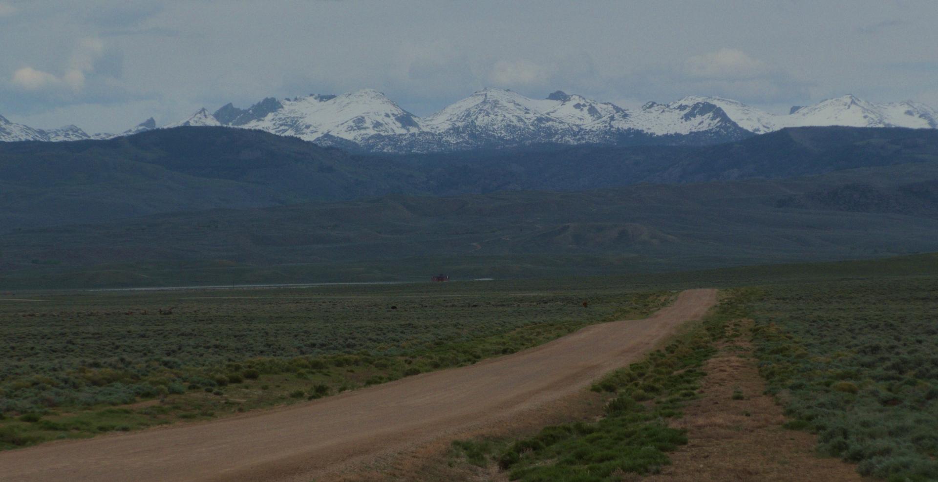 Im20190609rawP1220758rw