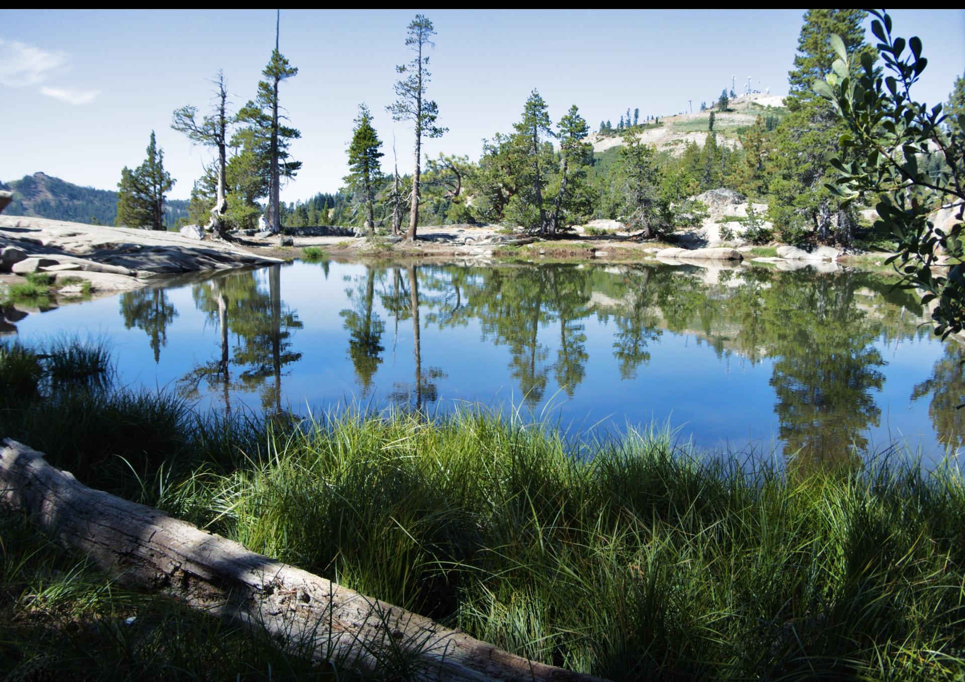 Im20190827rw2pjP1030738rw