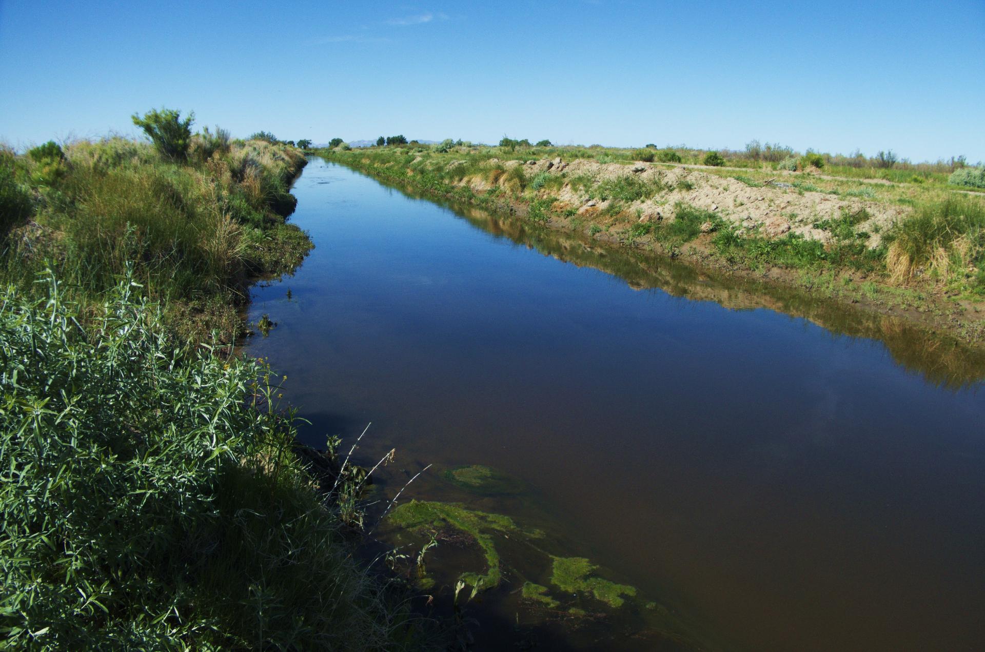 Im20200524pdjP1030997rw2