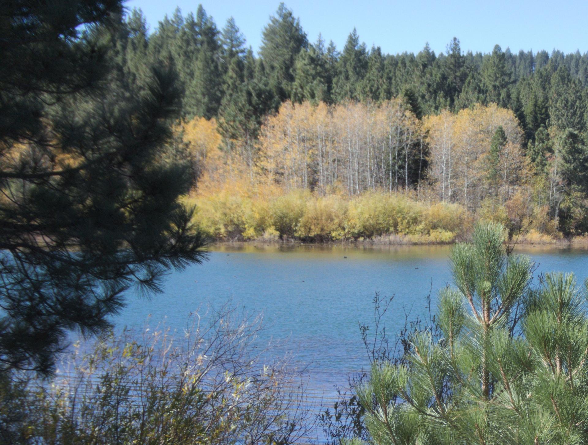 Im20201012rw2P1040339rw2