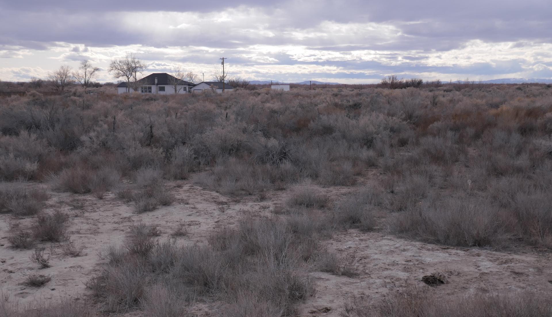 Im20210318oriP1010431