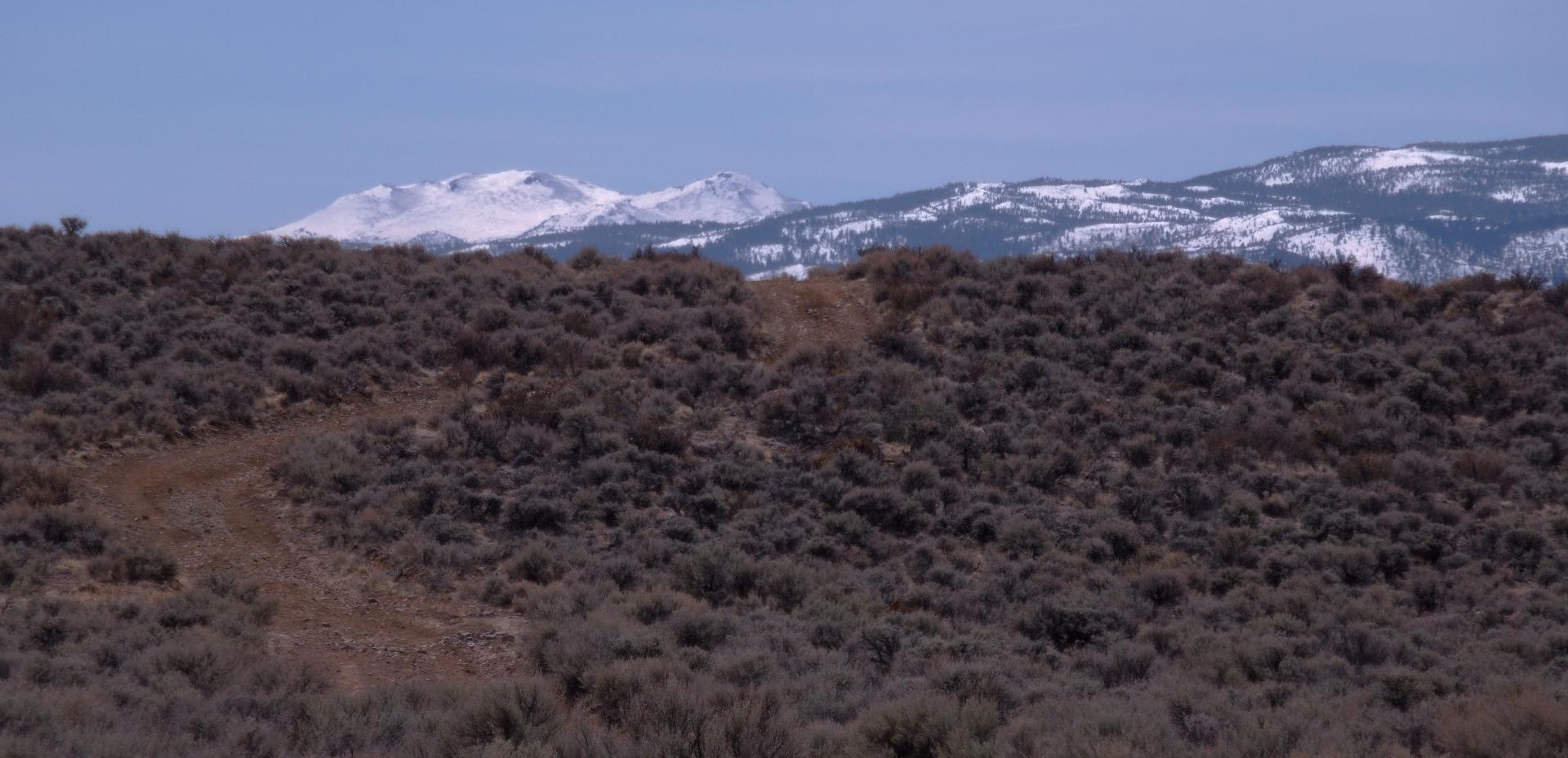 Im20210324rw2P1010493A1rw2