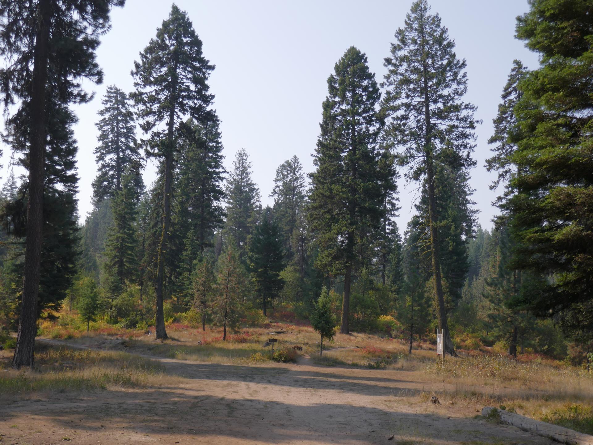 Im20210909oriP1020874