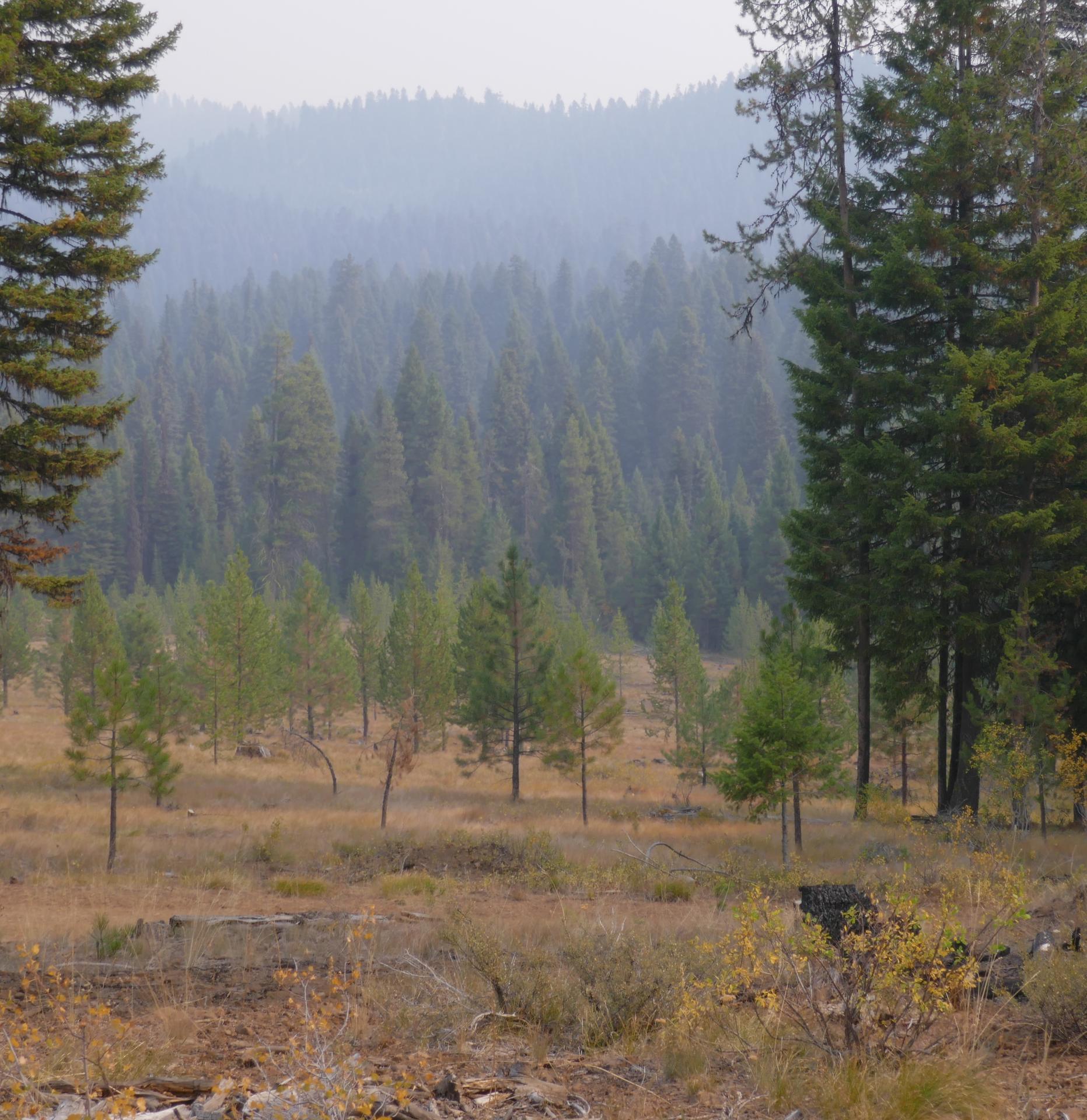 Im20210909oriP1020962