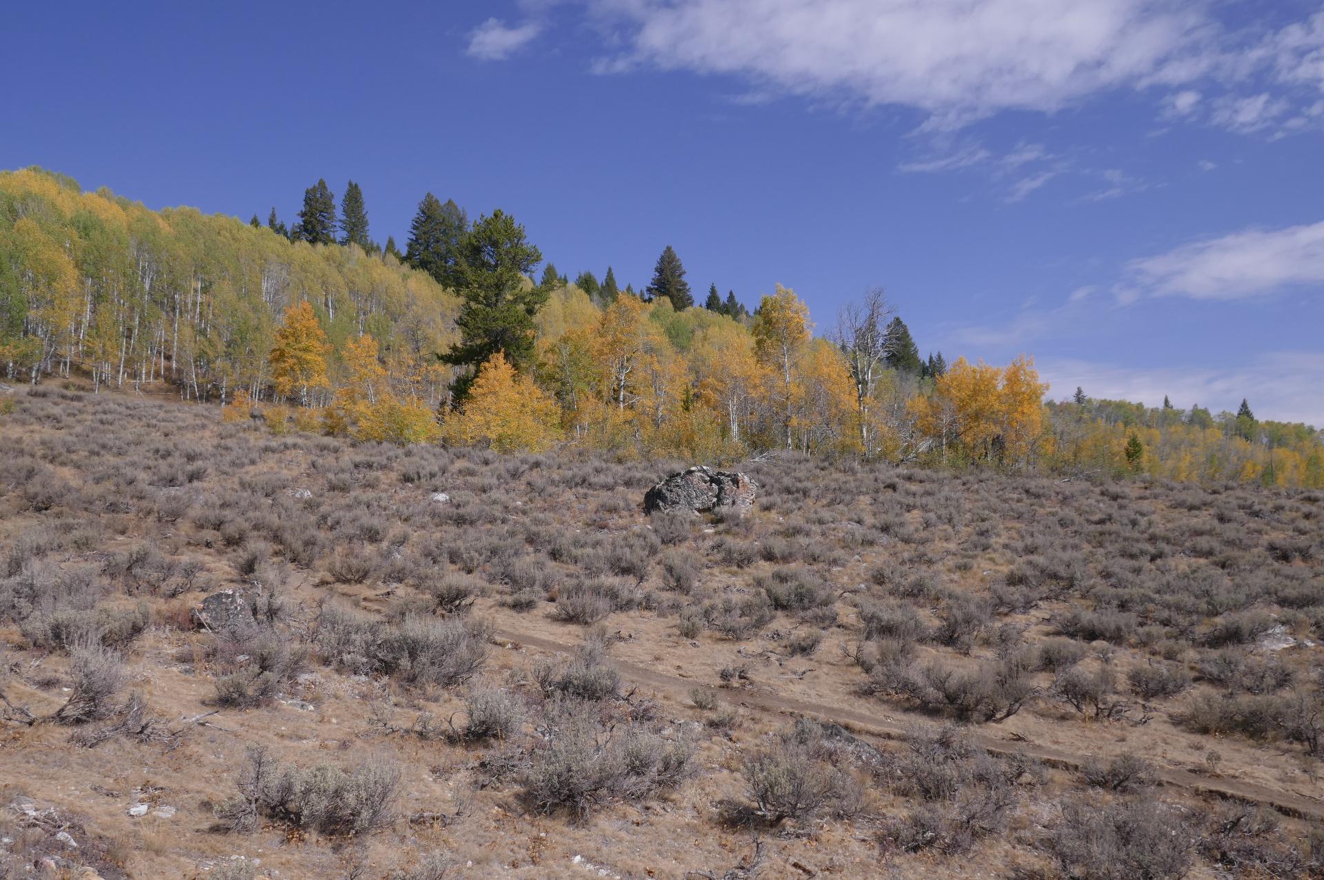 Im20210913oriP1030303